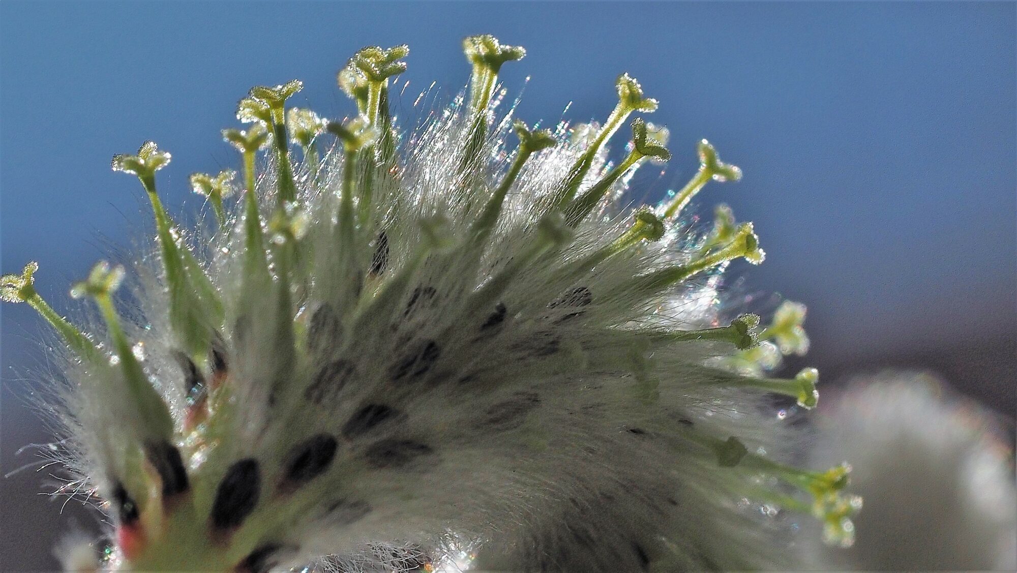 Valokuvaaja: Arja Valtonen