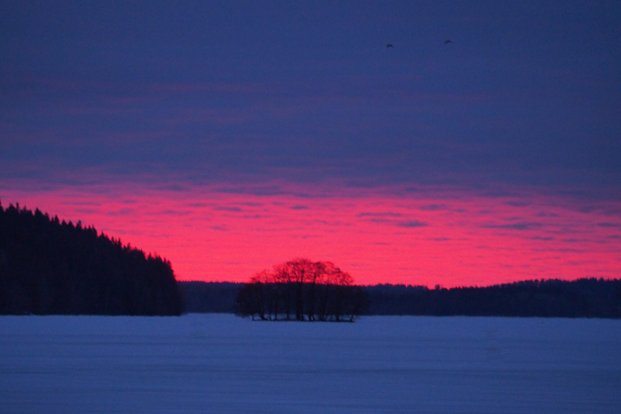 Valokuvaaja: Martti Valtonen