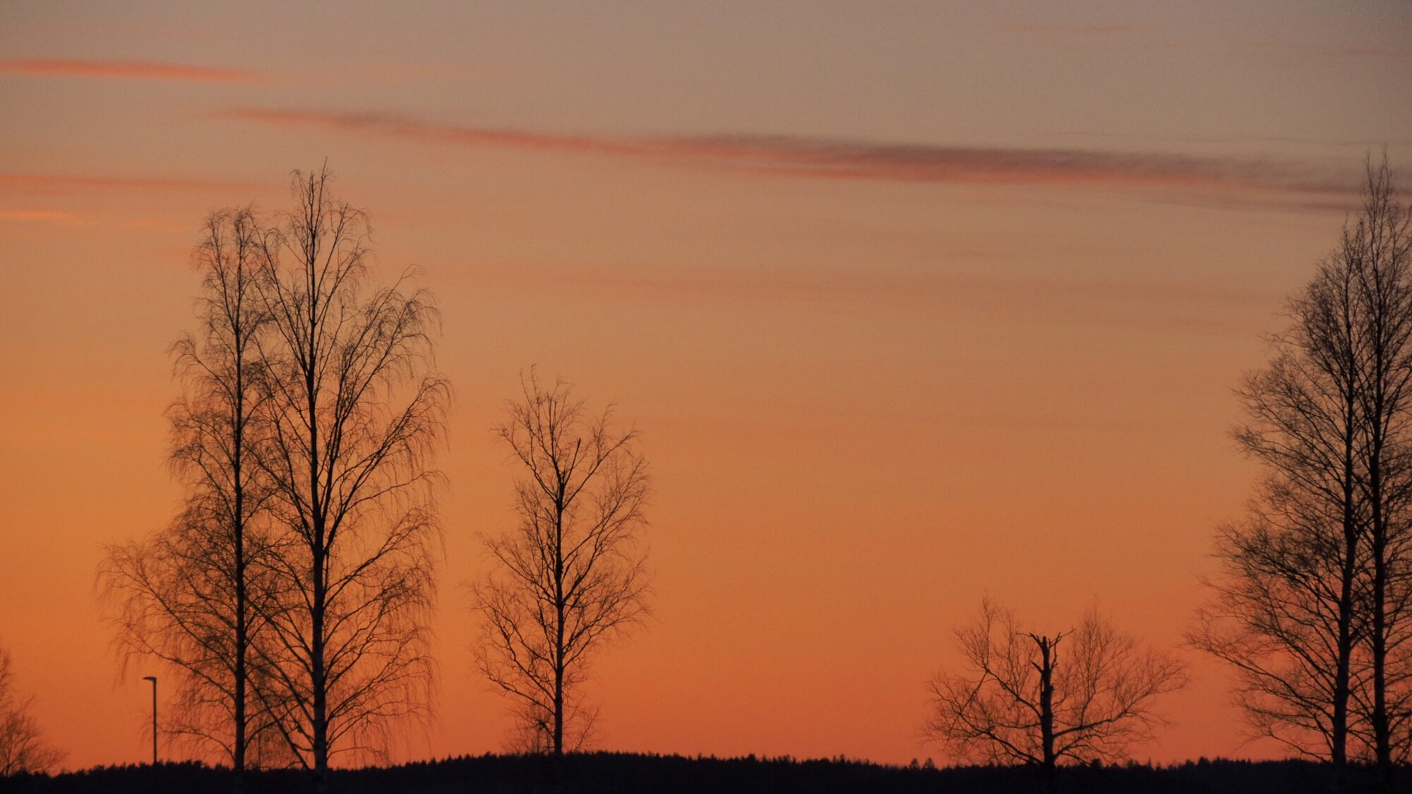 Valokuvaaja: Martti Valtonen