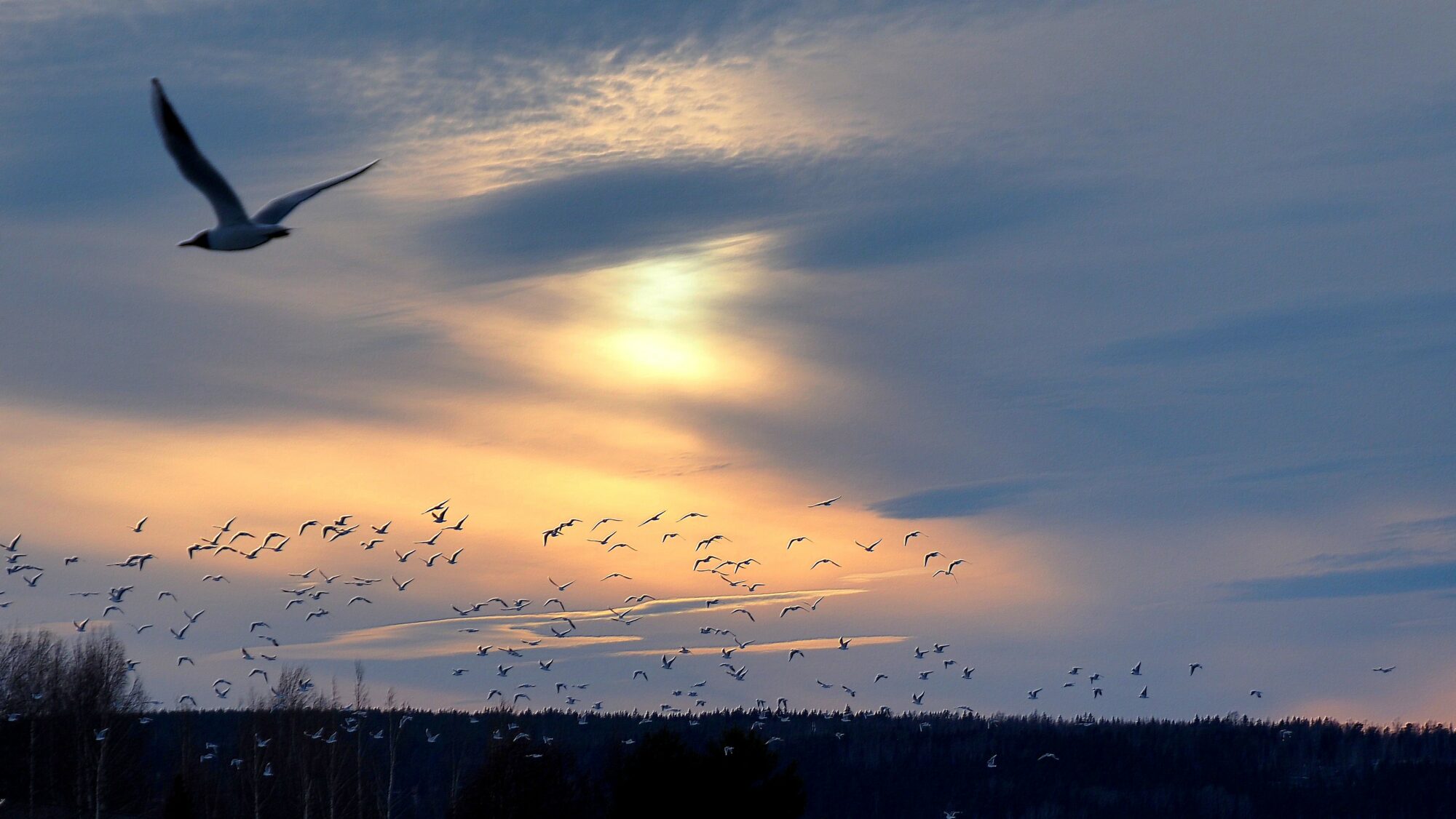 Valokuvaaja: Arja Valtonen