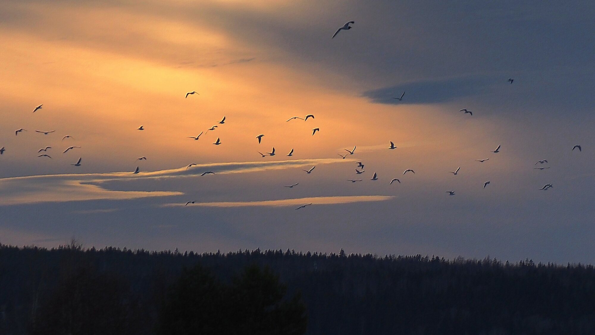 Valokuvaaja: Arja Valtonen