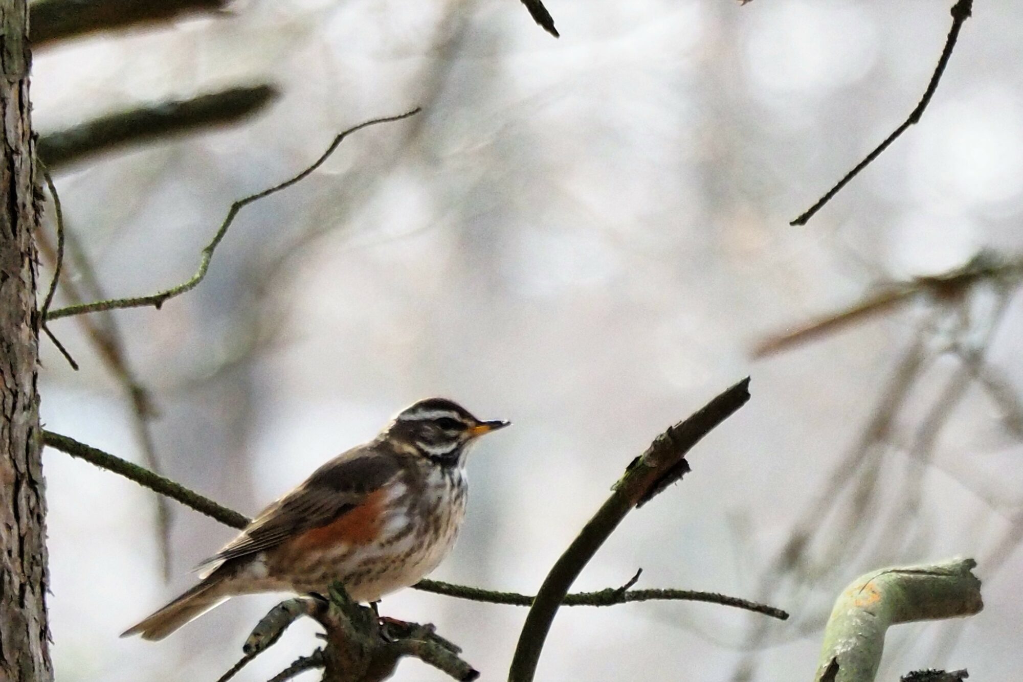 Valokuvaaja: Martti Valtonen
