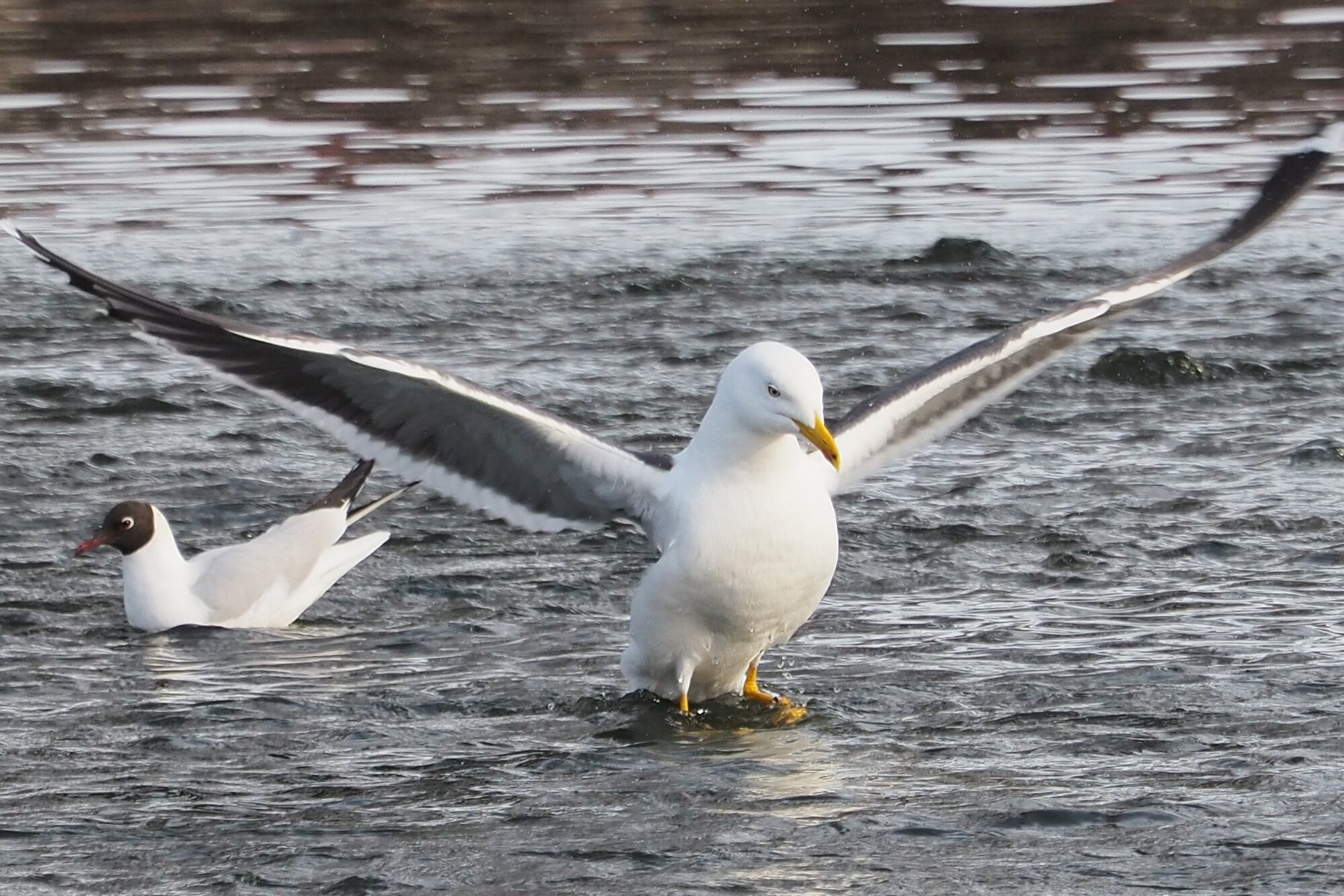Valokuvaaja: Martti Valtonen