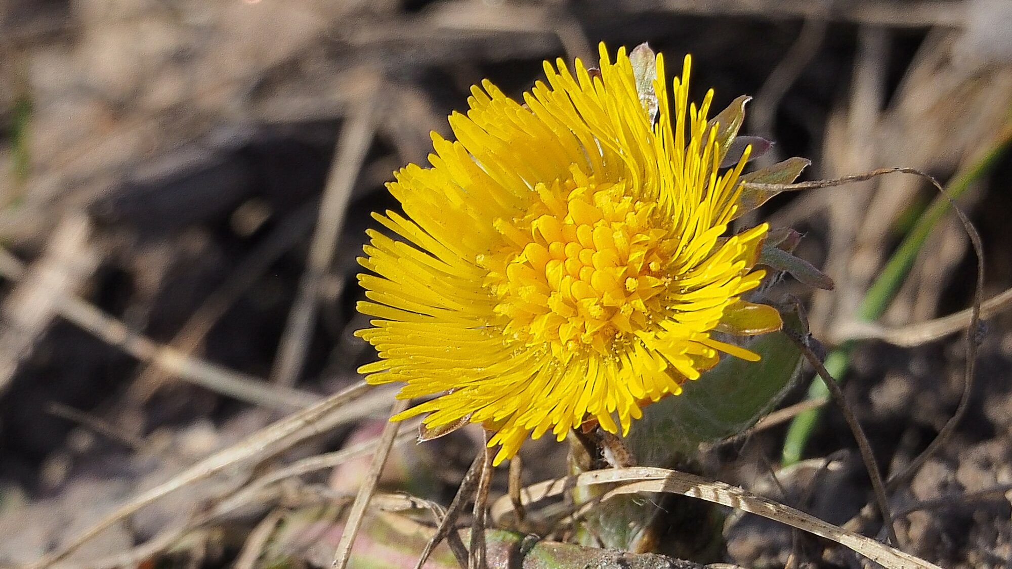 Valokuvaaja: Arja Valtonen Valokuvaaja: Arja Valtonen