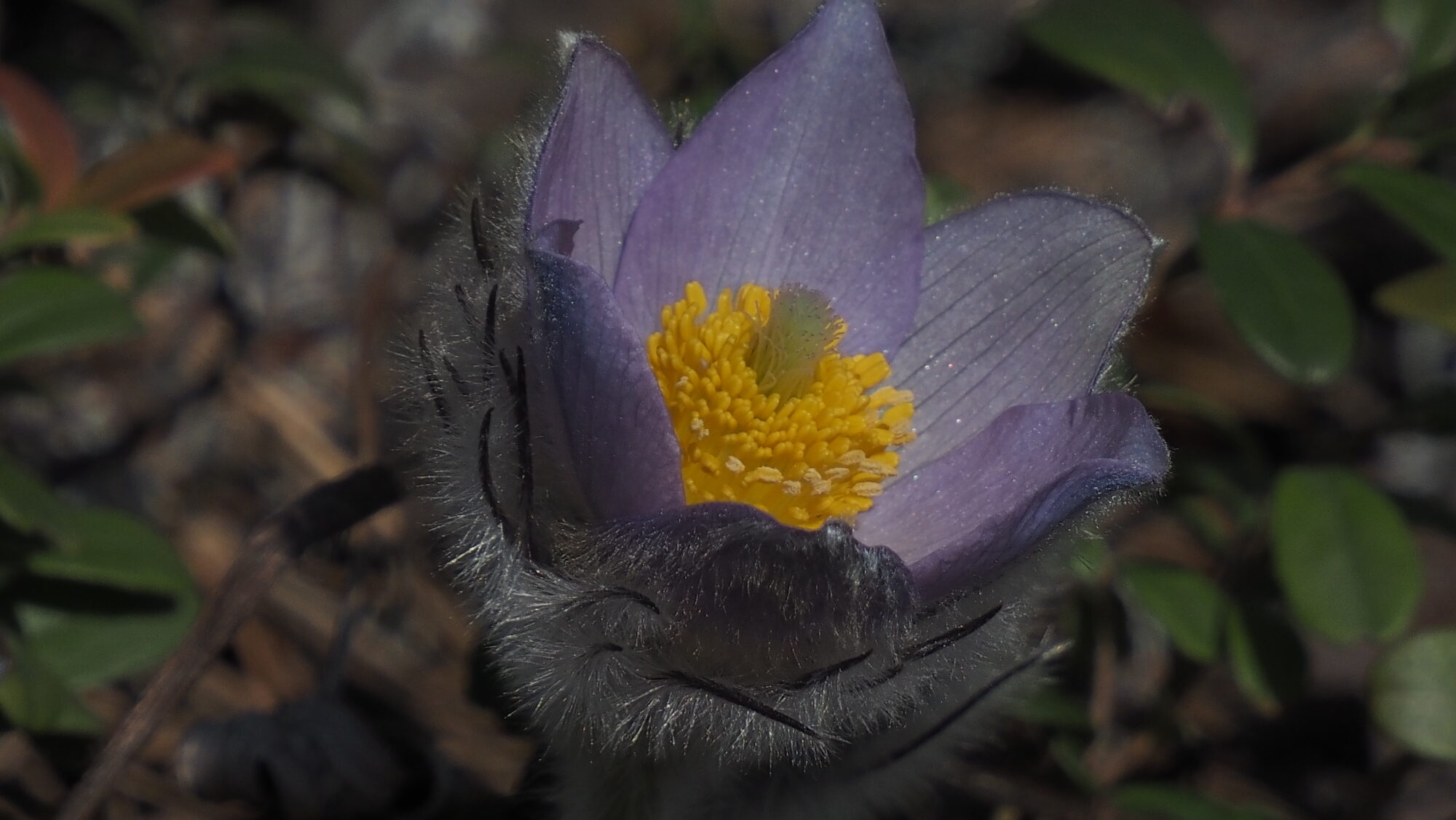 Valokuvaaja: Arja Valtonen