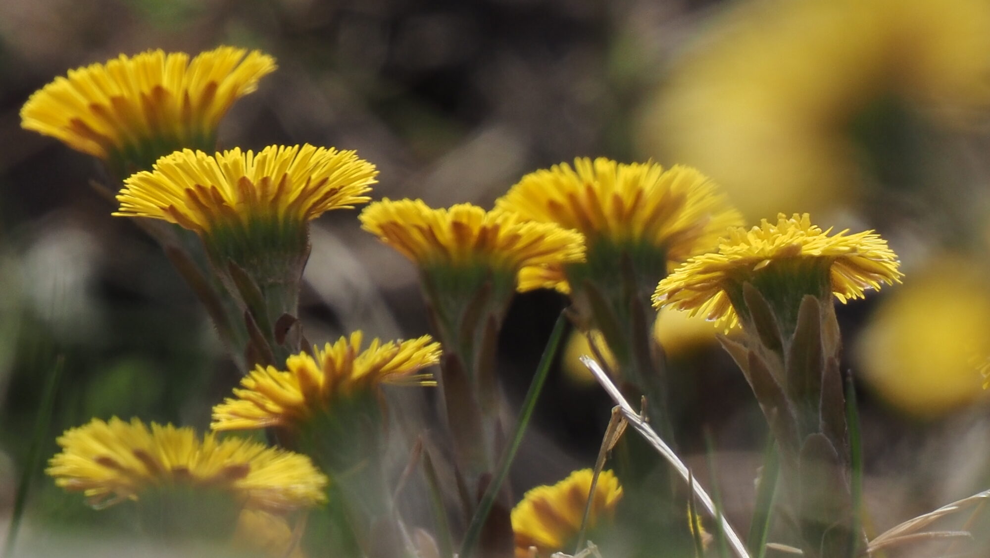 Valokuvaaja: Arja Valtonen