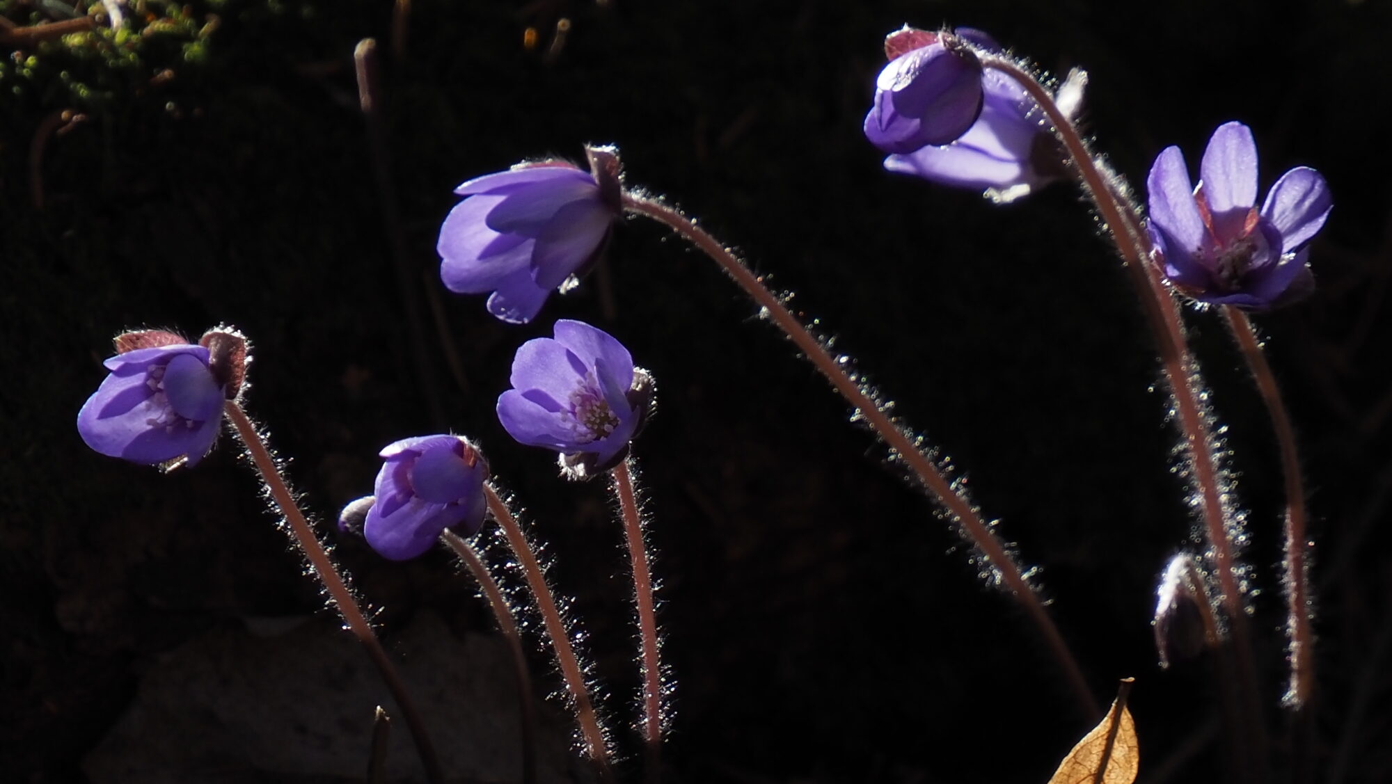Valokuvaaja: Arja Valtonen Valokuvaaja: Arja Valtonen