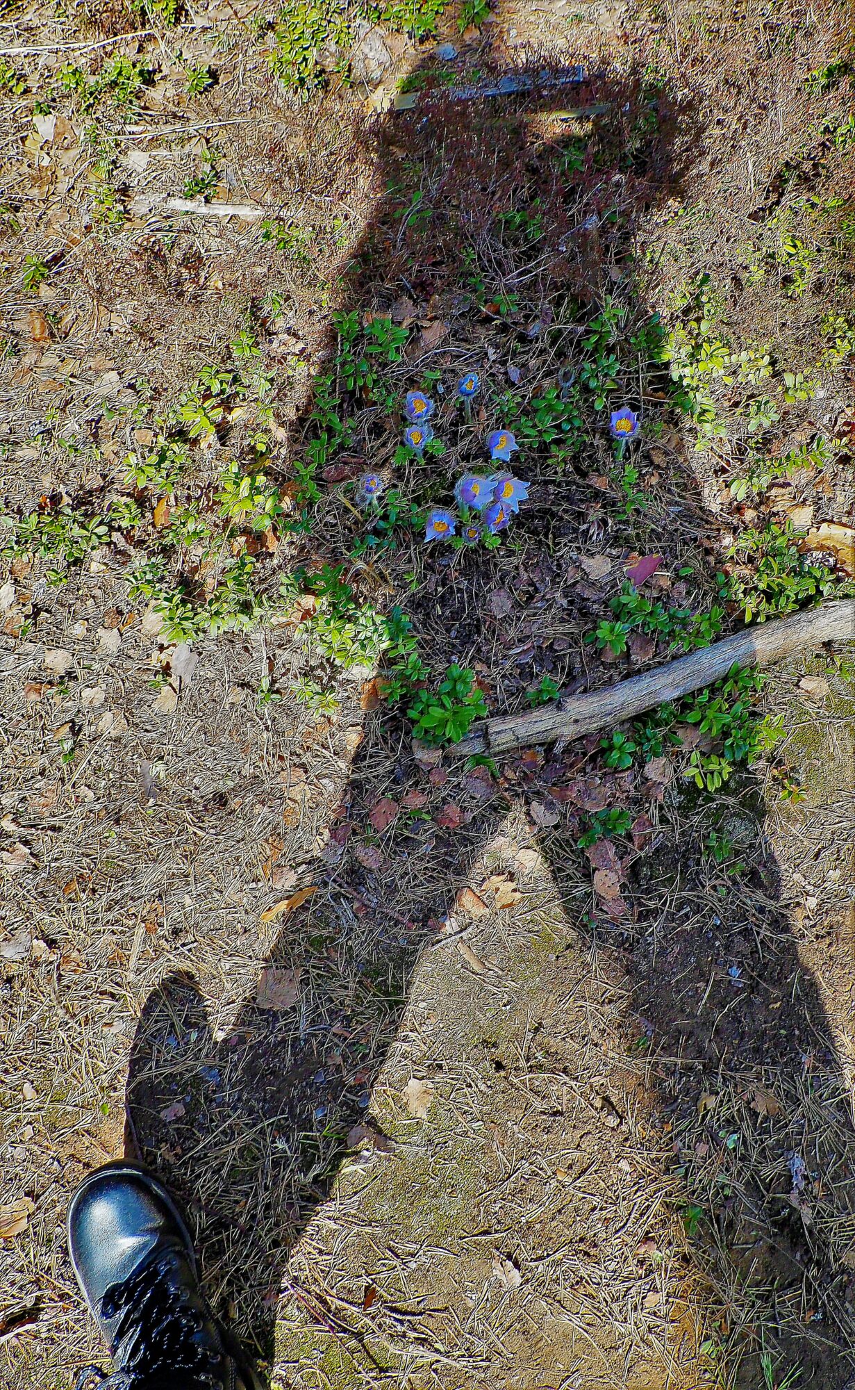 Valokuvaaja: Arja Valtonen