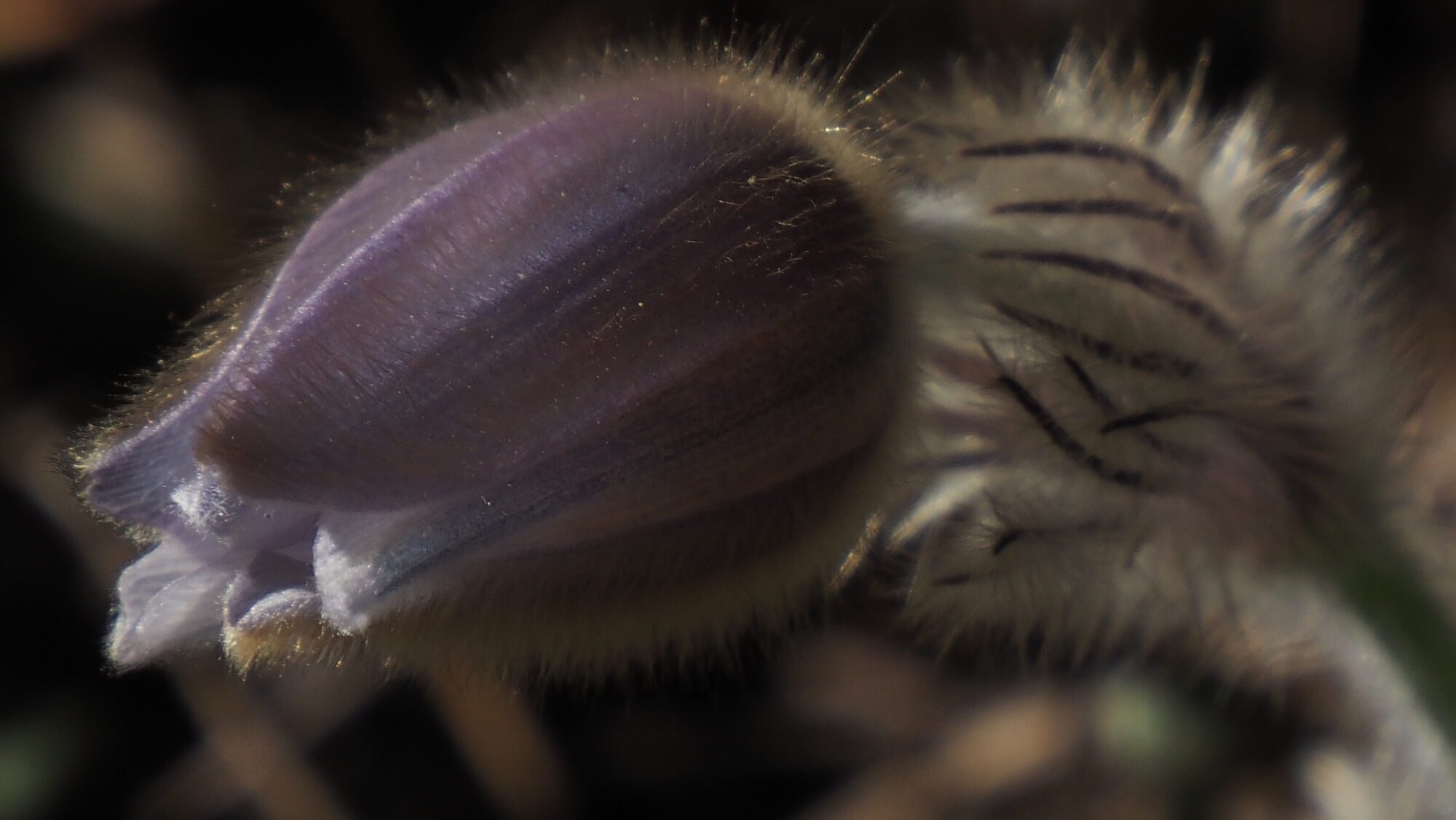 Valokuvaaja: Arja Valtonen