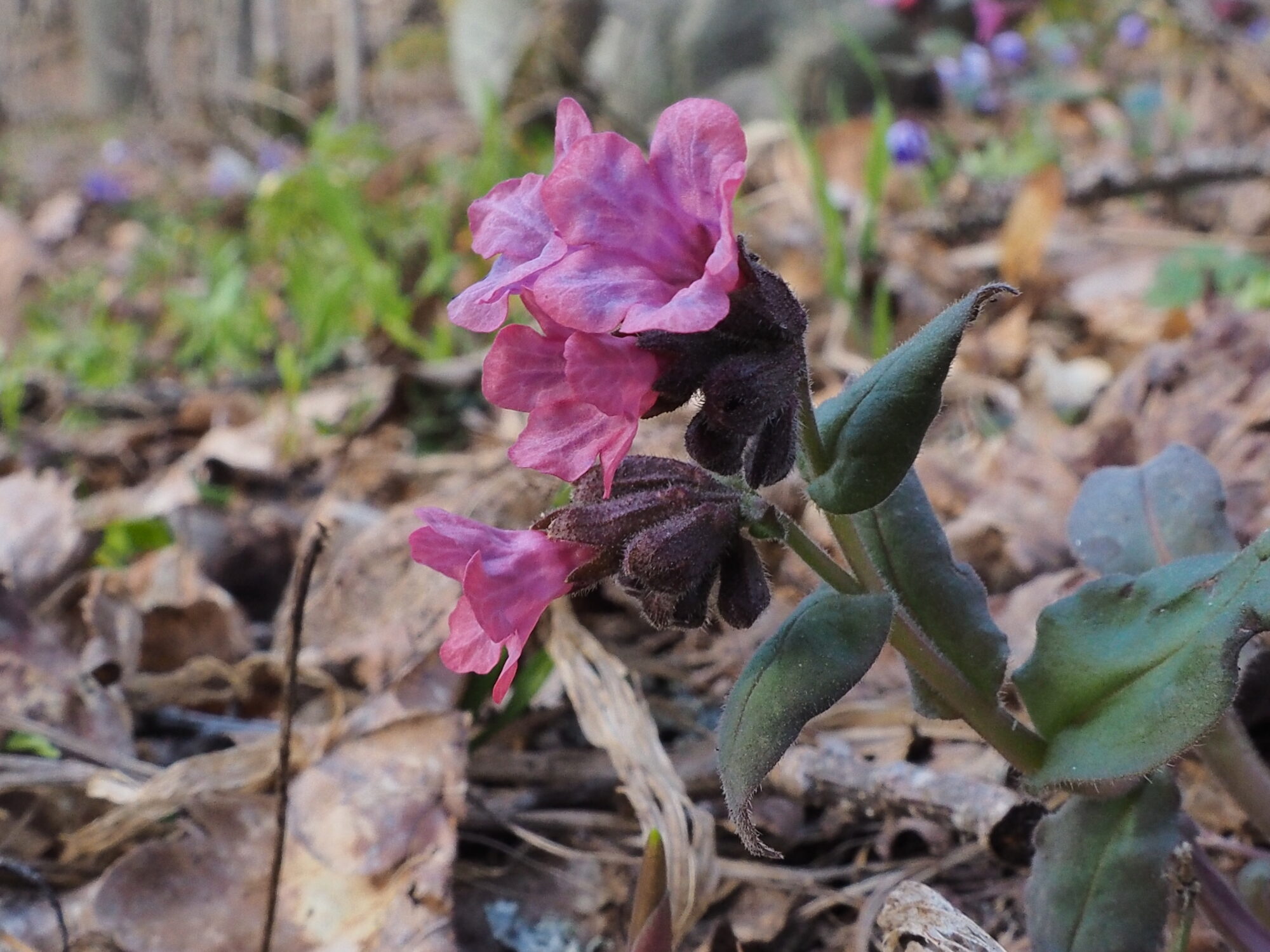 Valokuvaaja: Martti Valtonen