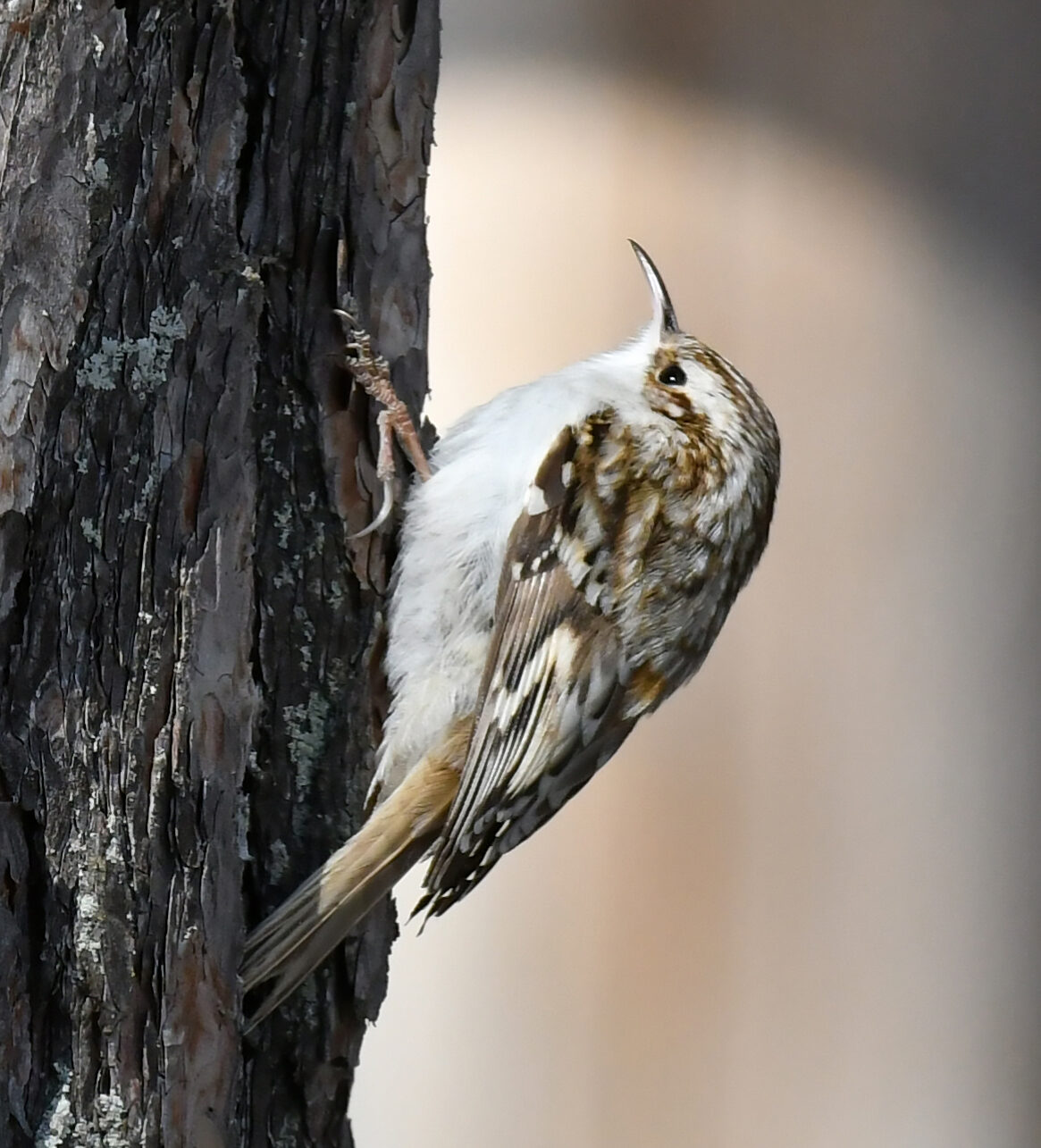 Valokuvaaja: Matti Manninen