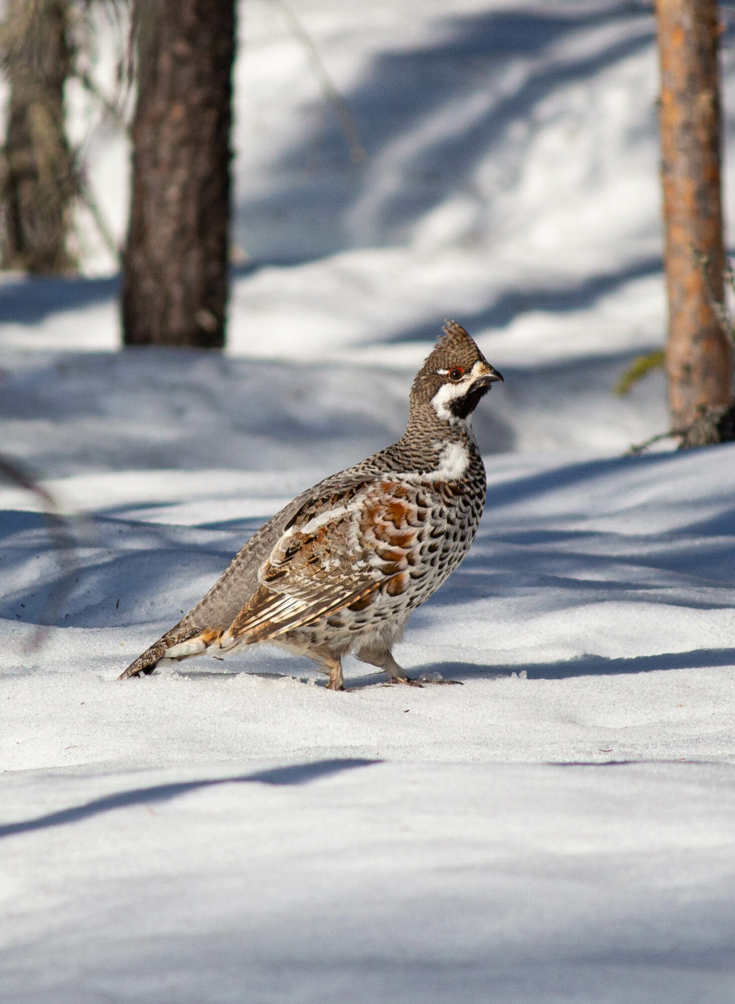 Valokuvaaja: Laura Hakulinen