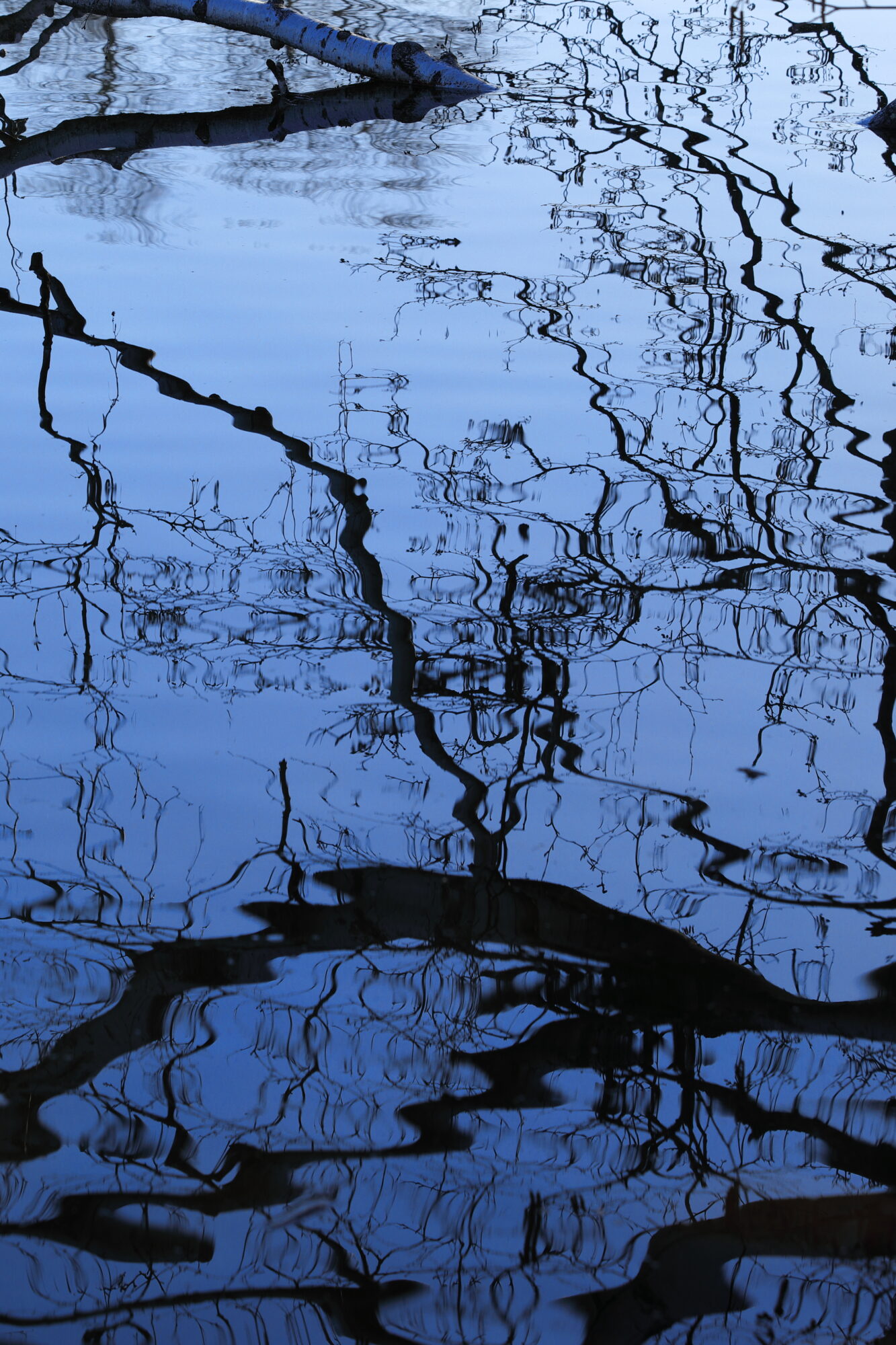 Valokuvaaja: Pasi Lähde