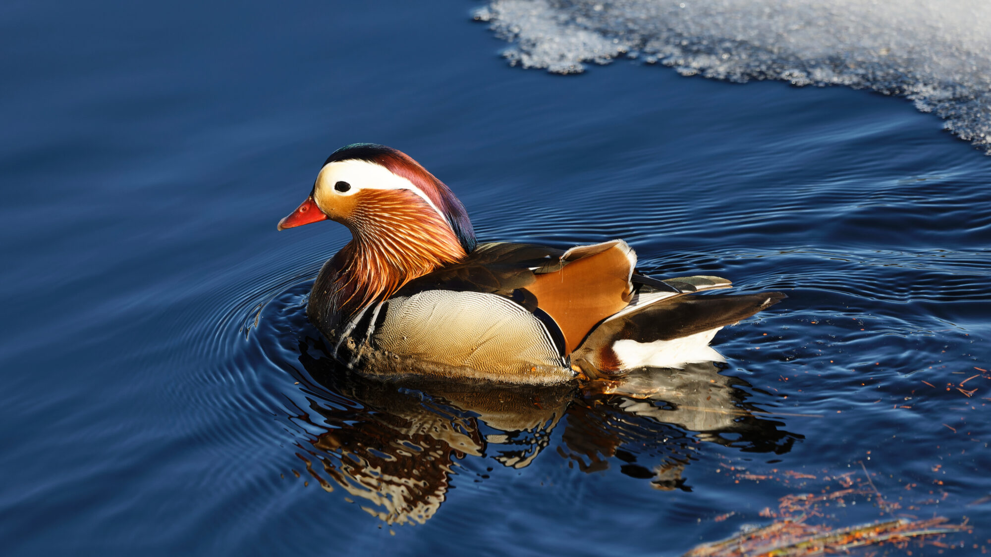 Valokuvaaja: Tommi Kujala Valokuvaaja: Tommi Kujala