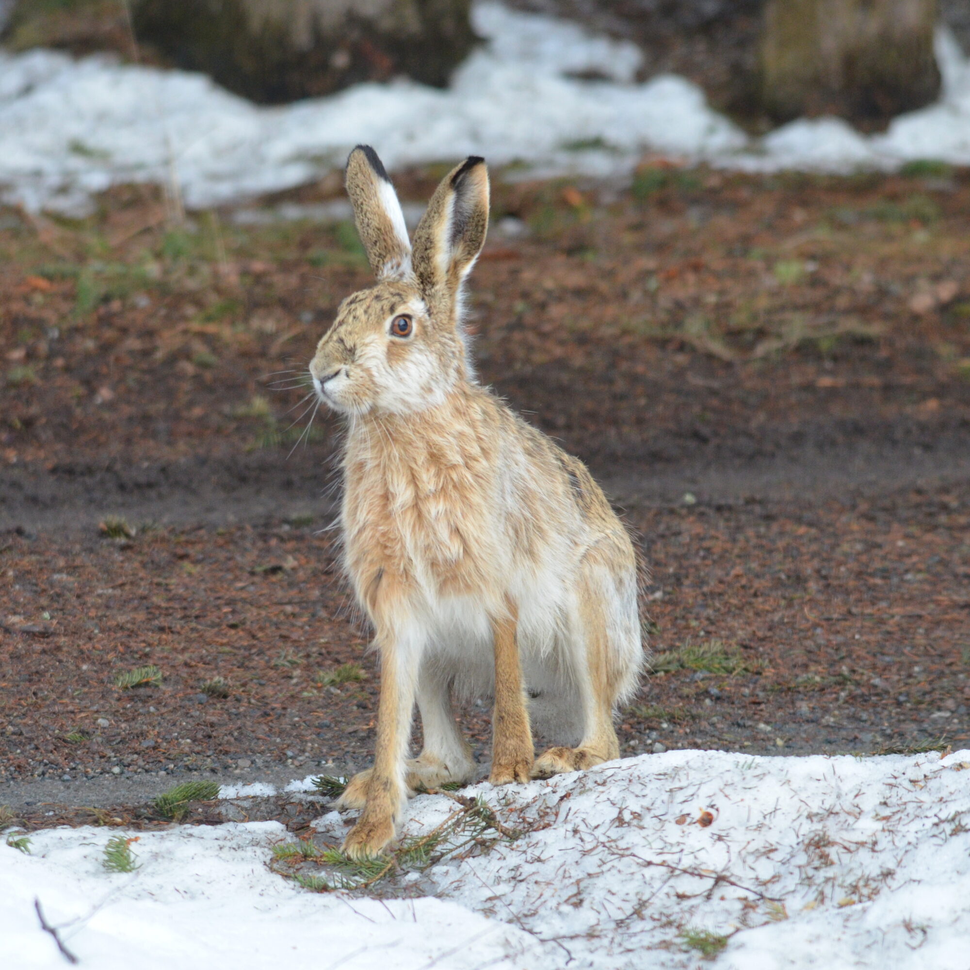 Valokuvaaja: Kaarlo Asikainen