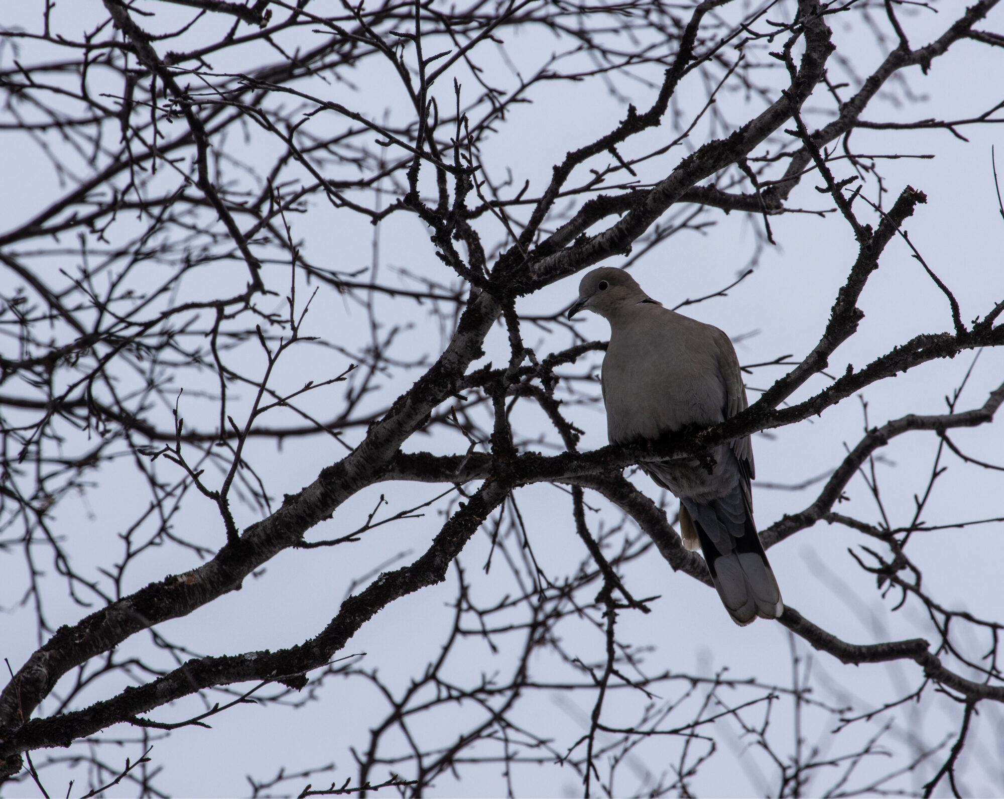 Valokuvaaja: Katri Niskanen