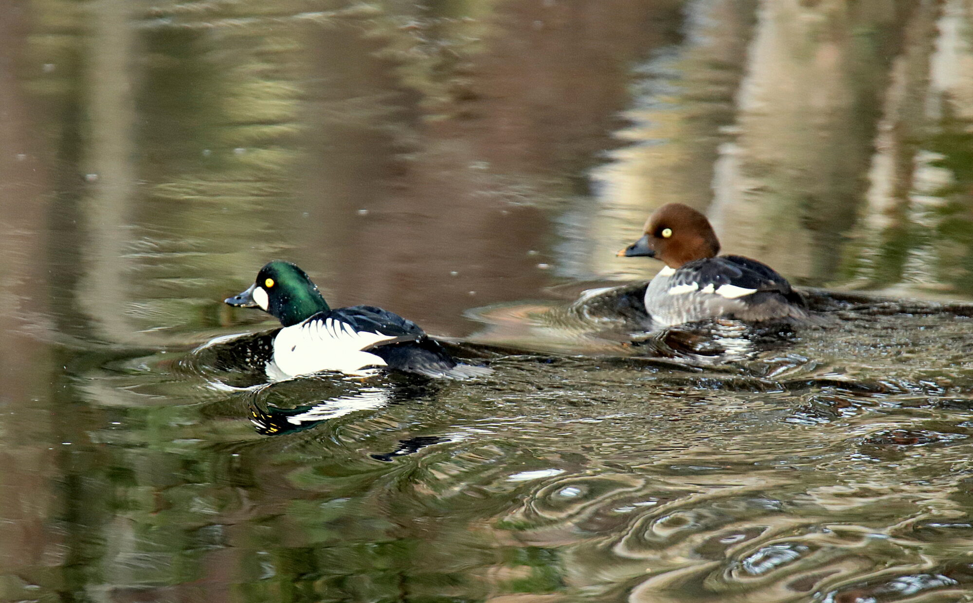 Valokuvaaja: sirpa jyske
