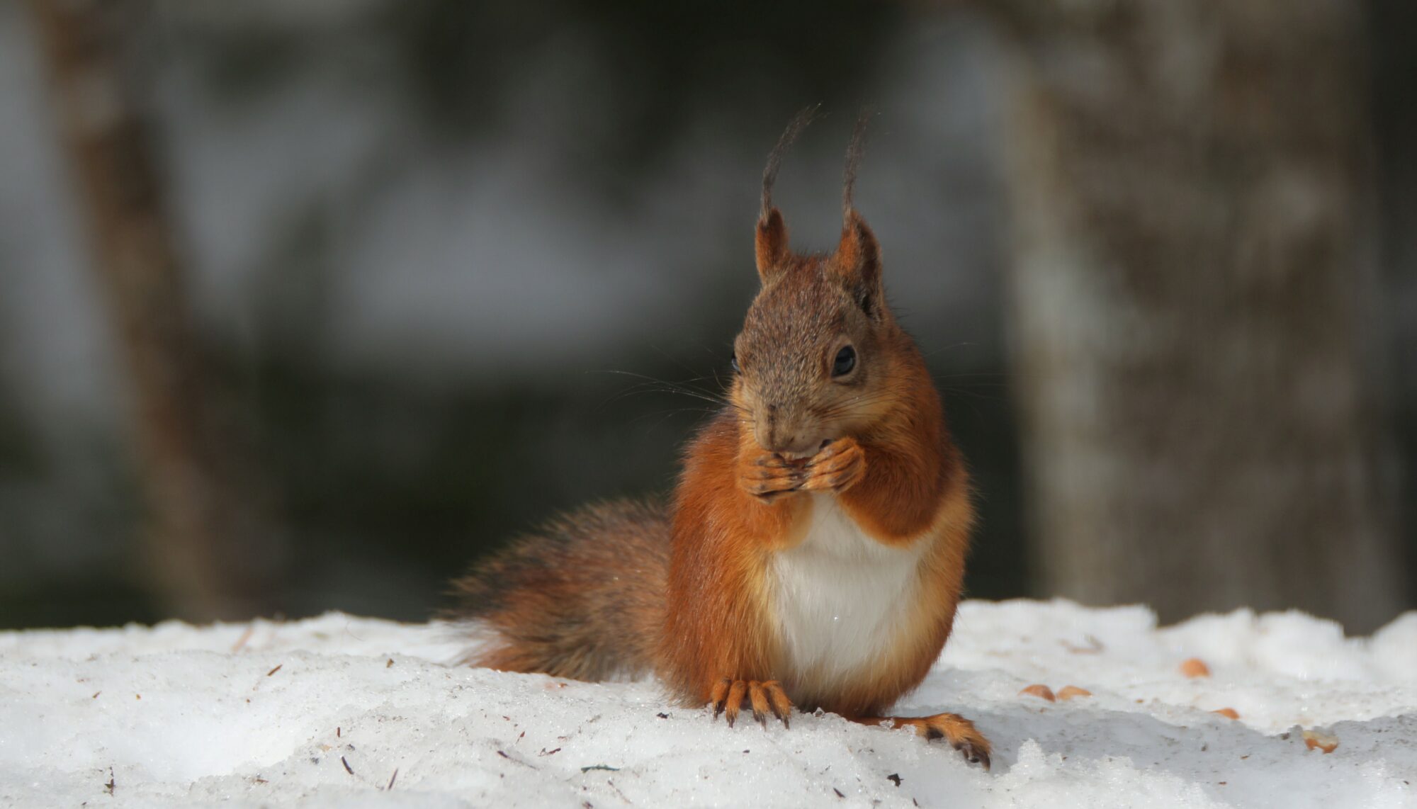 Valokuvaaja: Ahti Keränen