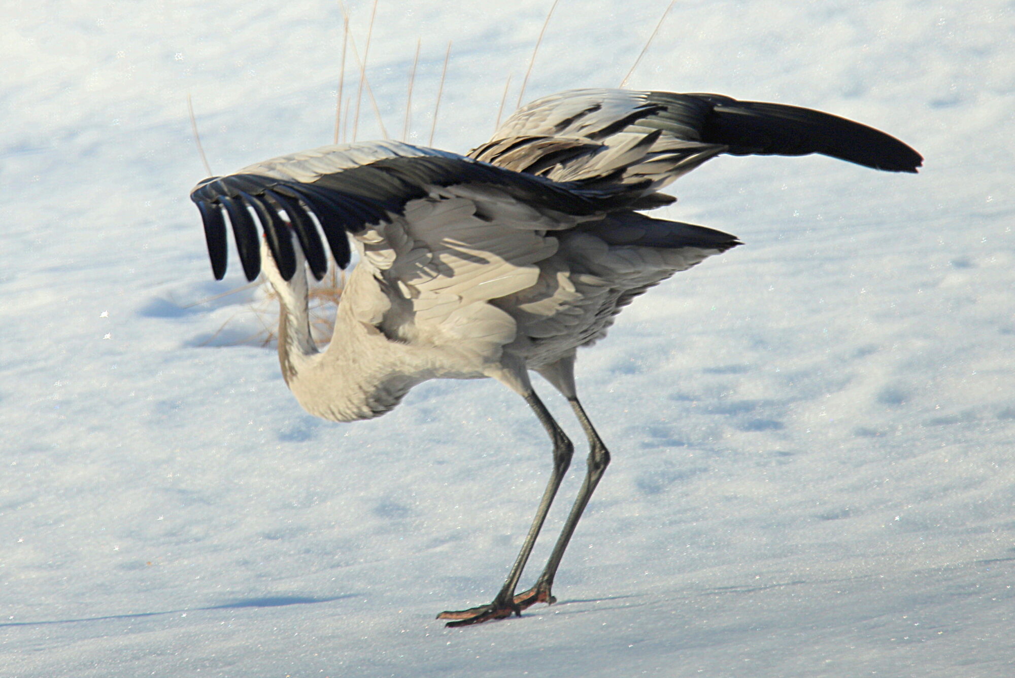 Valokuvaaja: sirpa jyske