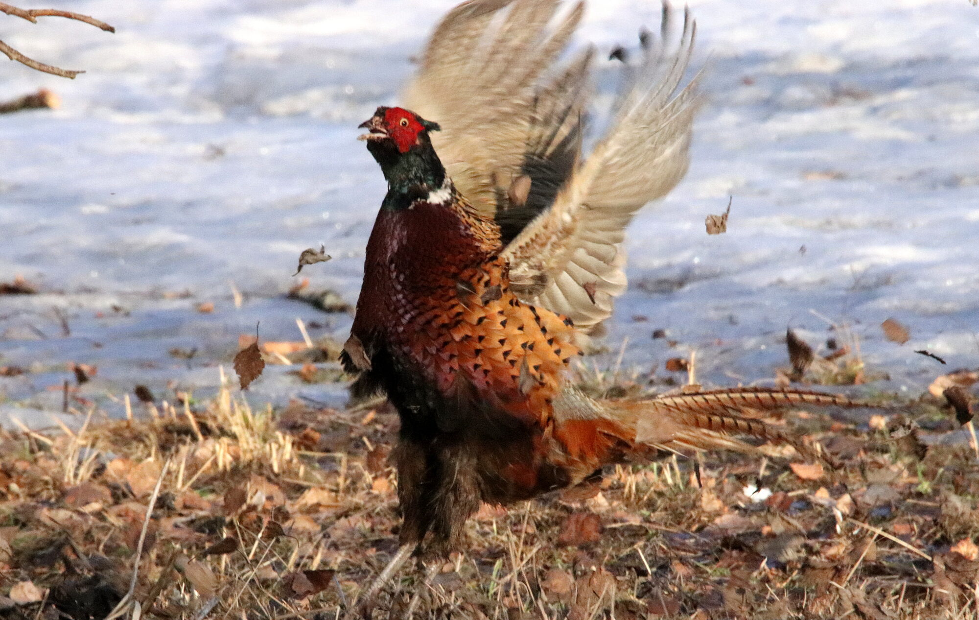 Valokuvaaja: Irja Lehtinen