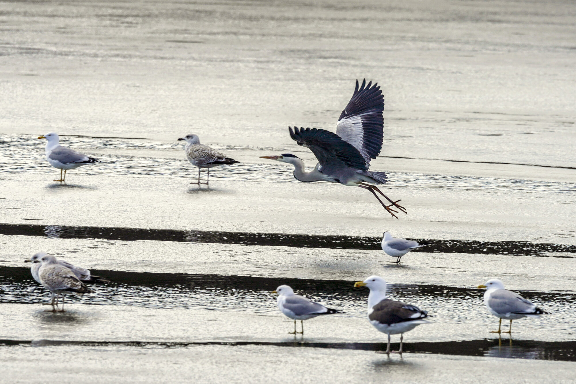 Valokuvaaja: Ivan Wistuba