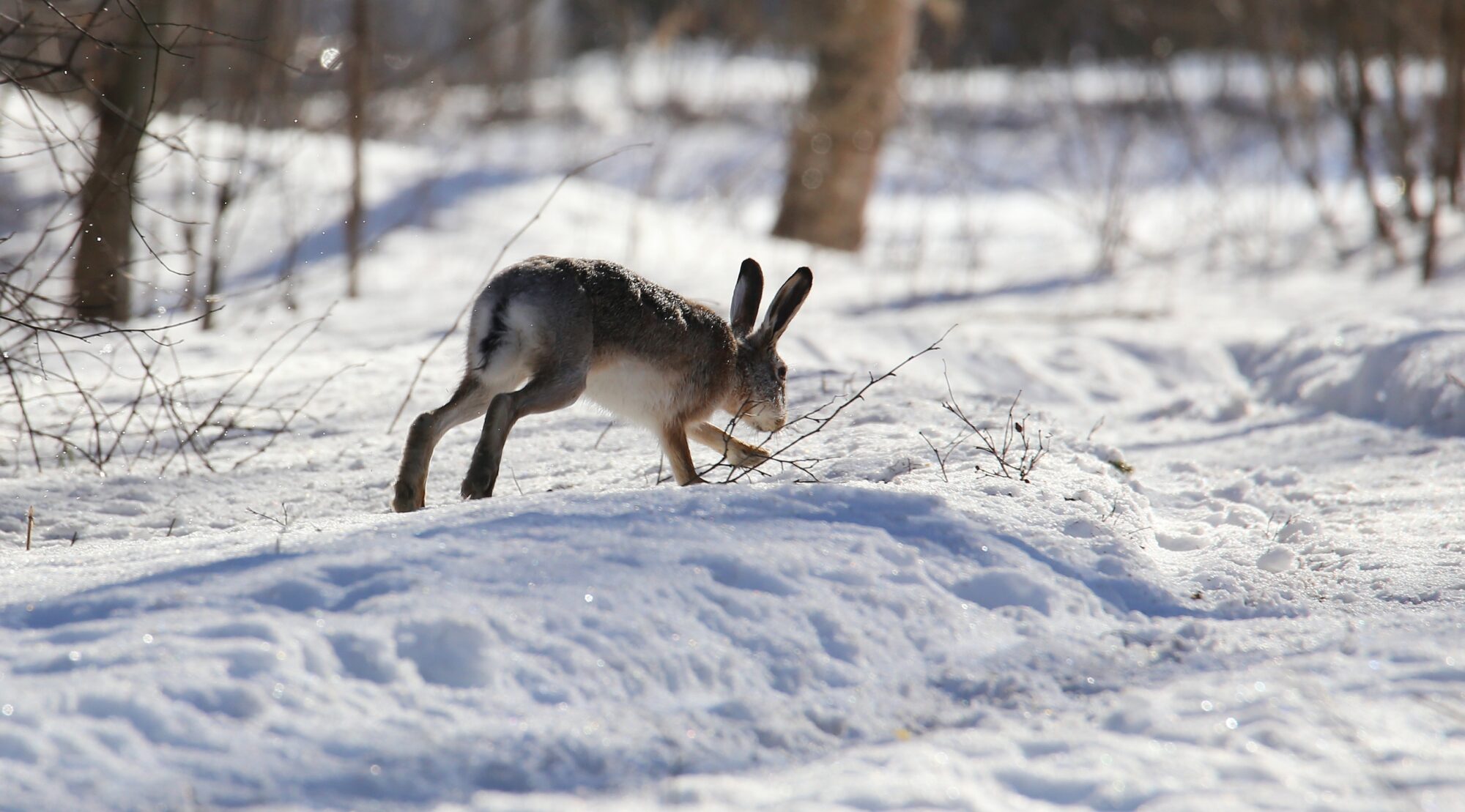 Valokuvaaja: Jaana Saarelainen