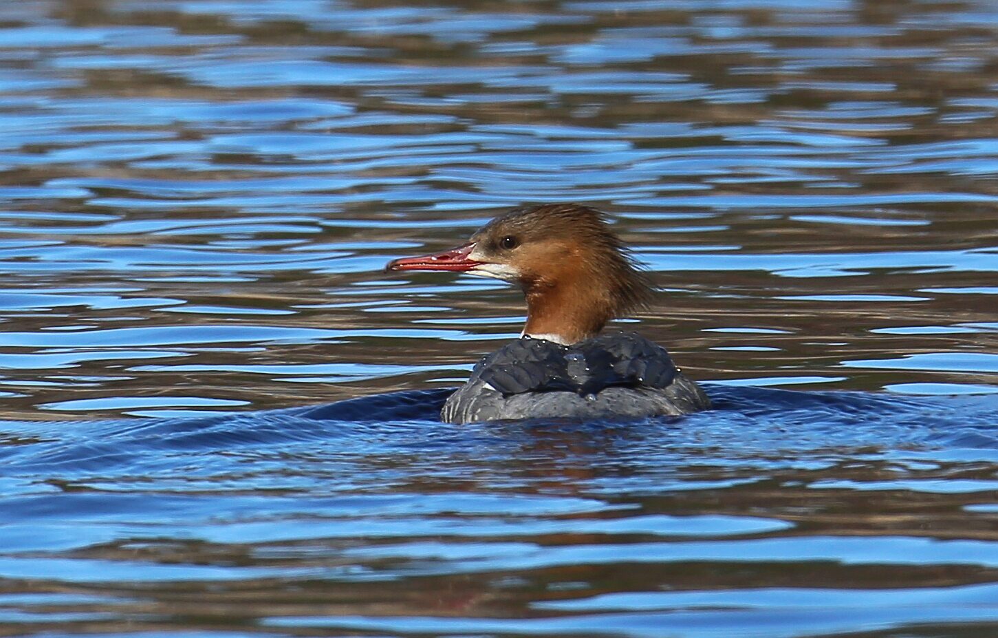 Valokuvaaja: Jaana Saarelainen