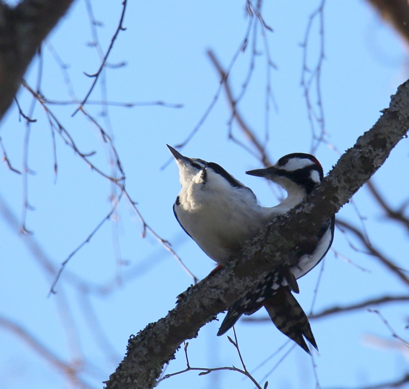 Valokuvaaja: Jaana Saarelainen