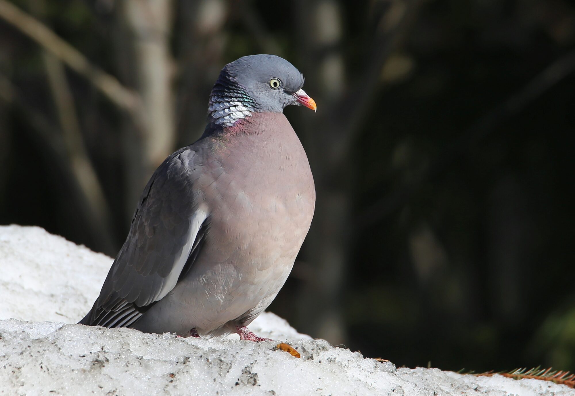 Valokuvaaja: Jaana Saarelainen