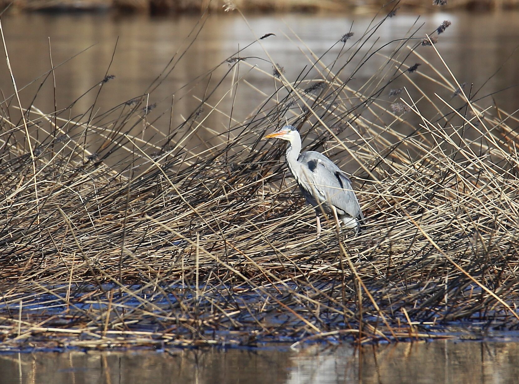 Valokuvaaja: Jaana Saarelainen