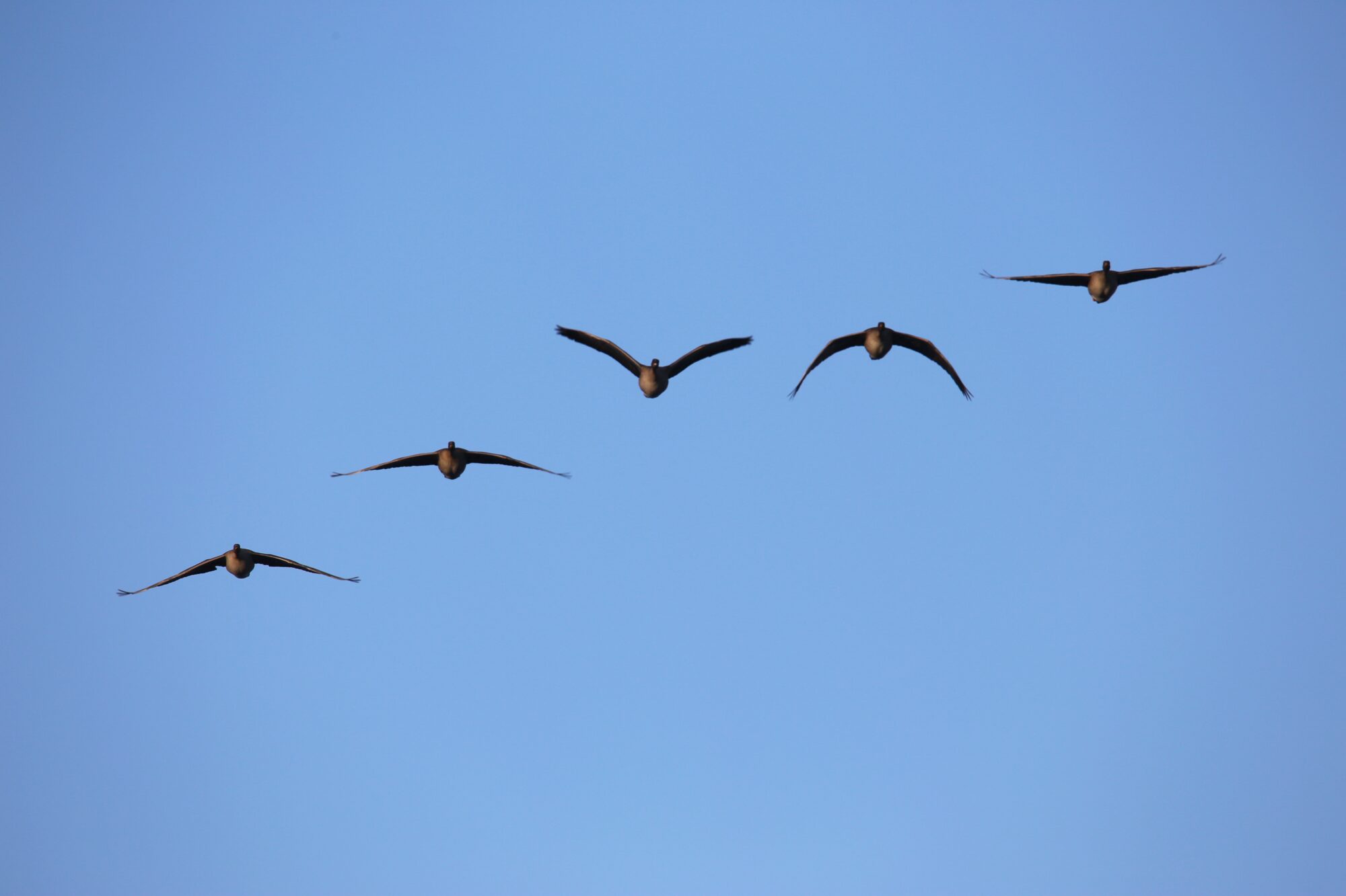 Valokuvaaja: Jaana Saarelainen