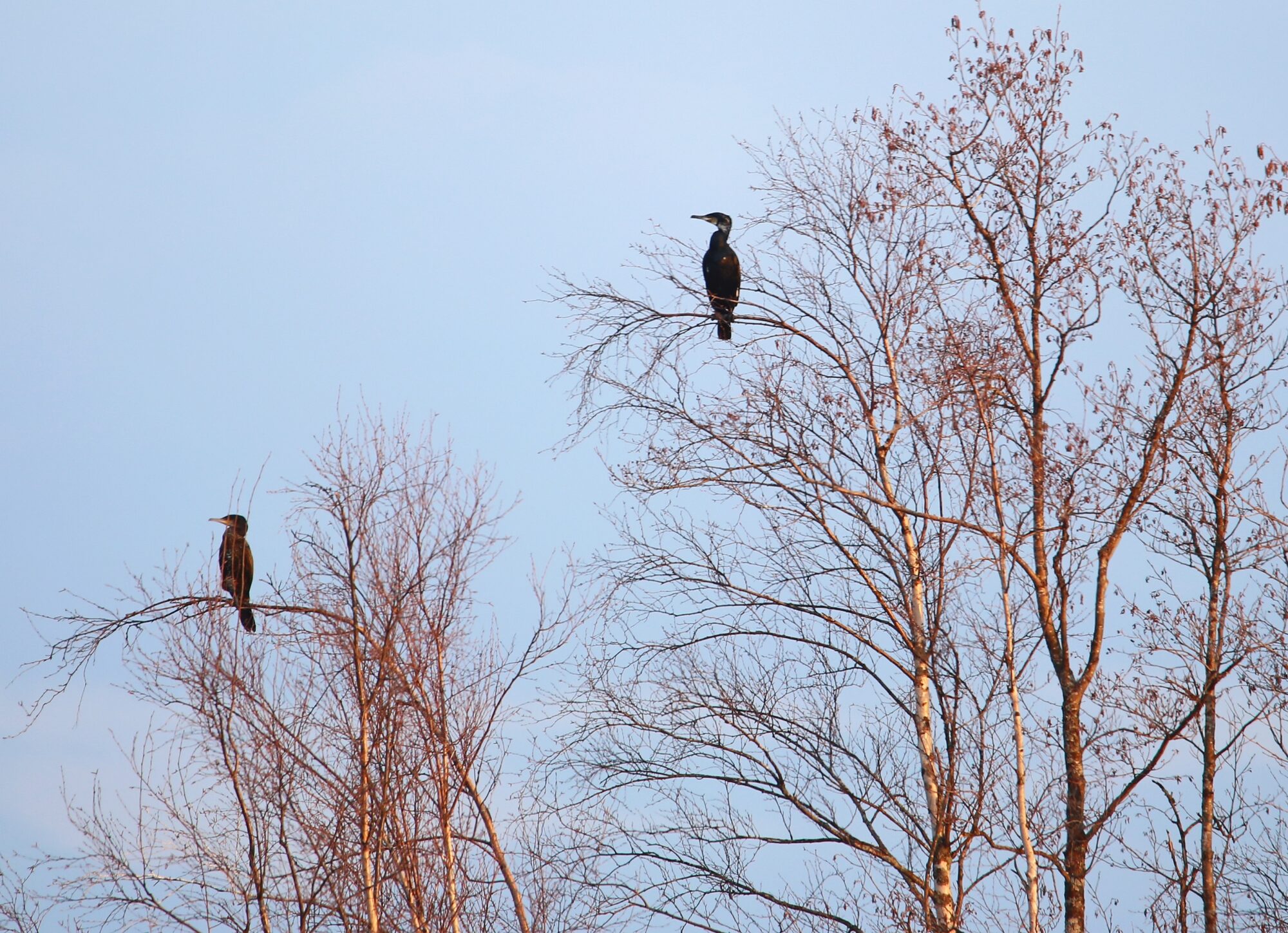 Valokuvaaja: Jaana Saarelainen