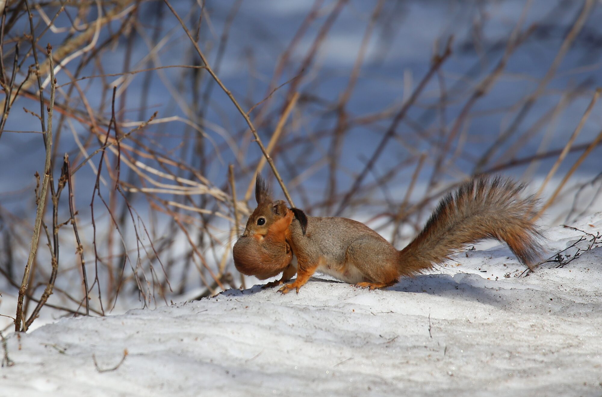 Valokuvaaja: Jaana Saarelainen Valokuvaaja: Jaana Saarelainen