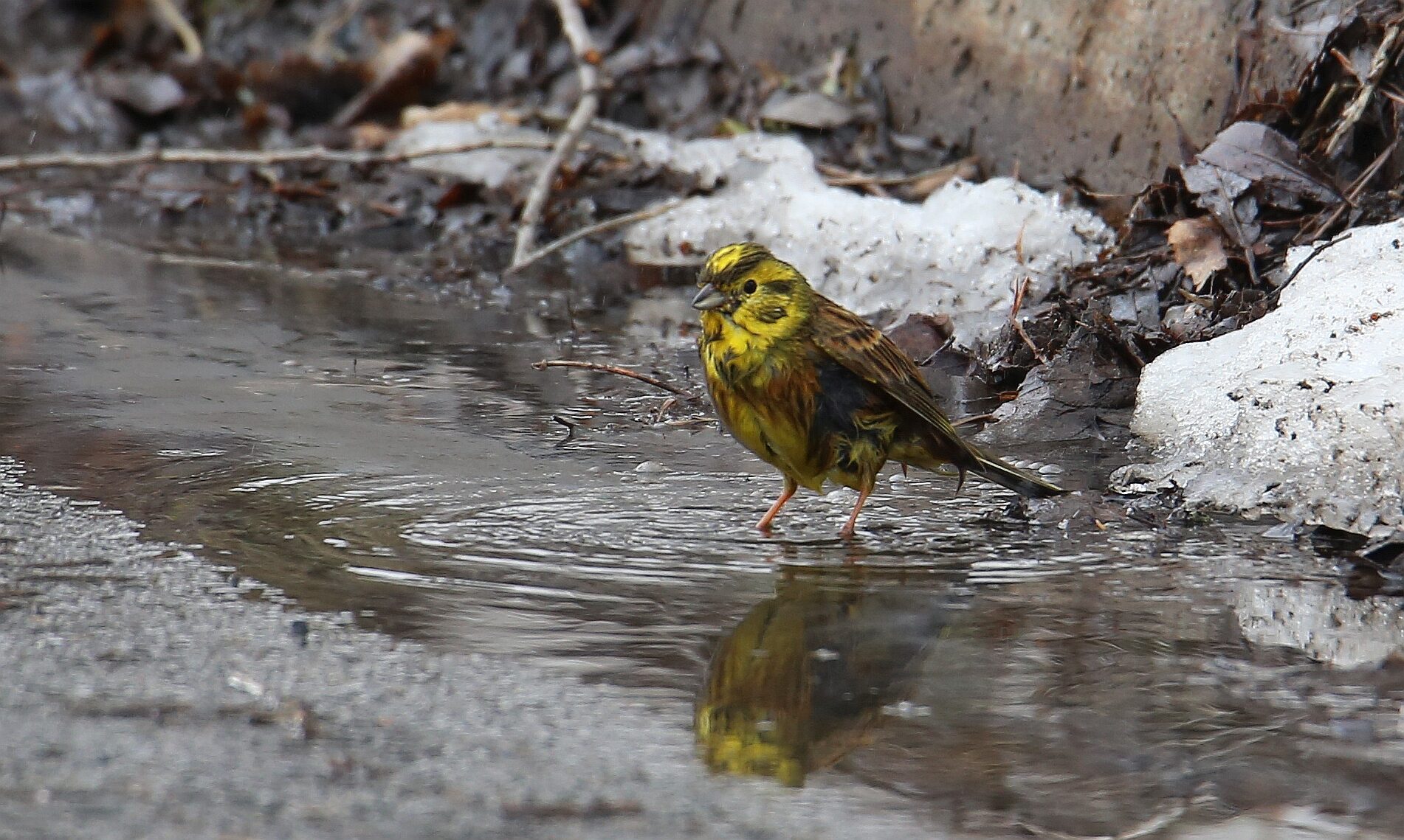 Valokuvaaja: Jaana Saarelainen