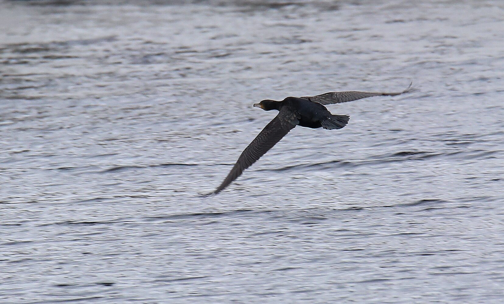 Valokuvaaja: Jaana Saarelainen