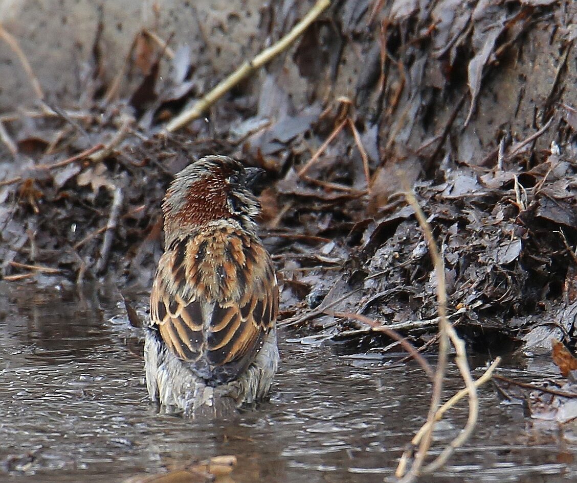 Valokuvaaja: Jaana Saarelainen