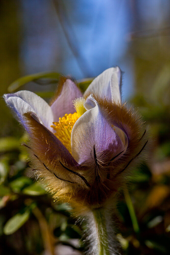 Valokuvaaja: Aarre Leskinen