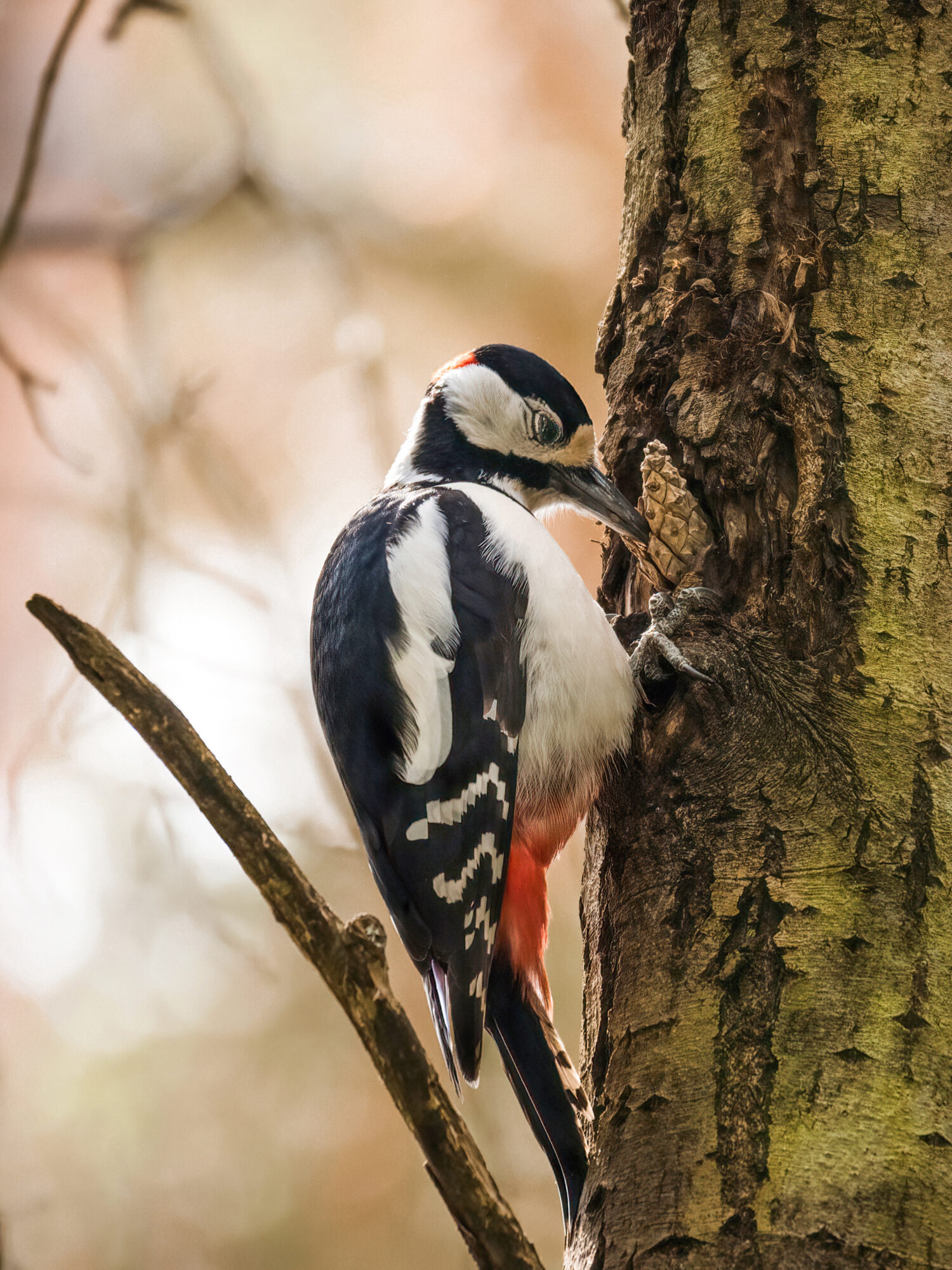 Valokuvaaja: Risto Lavi