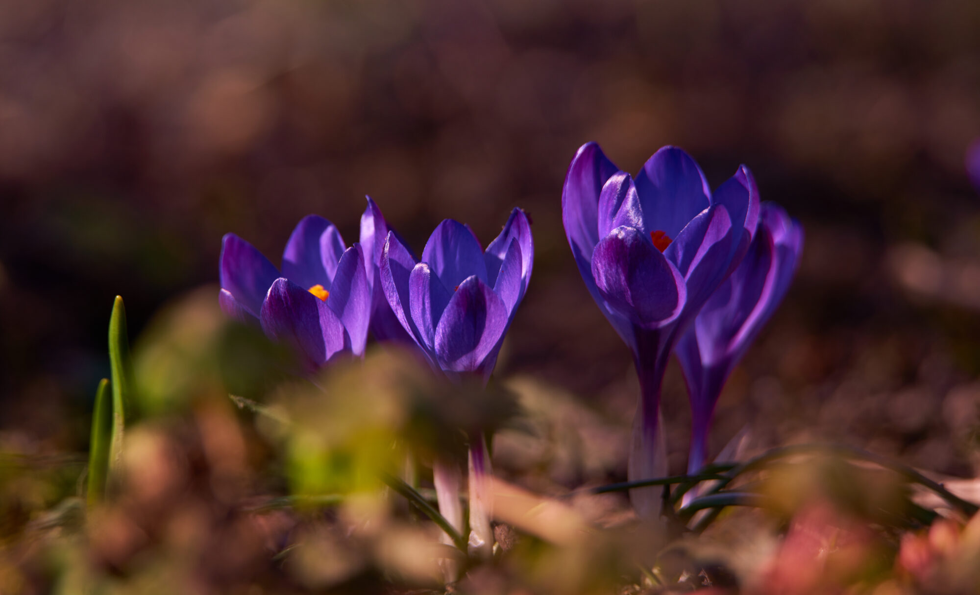 Valokuvaaja: Tarja Kouvo