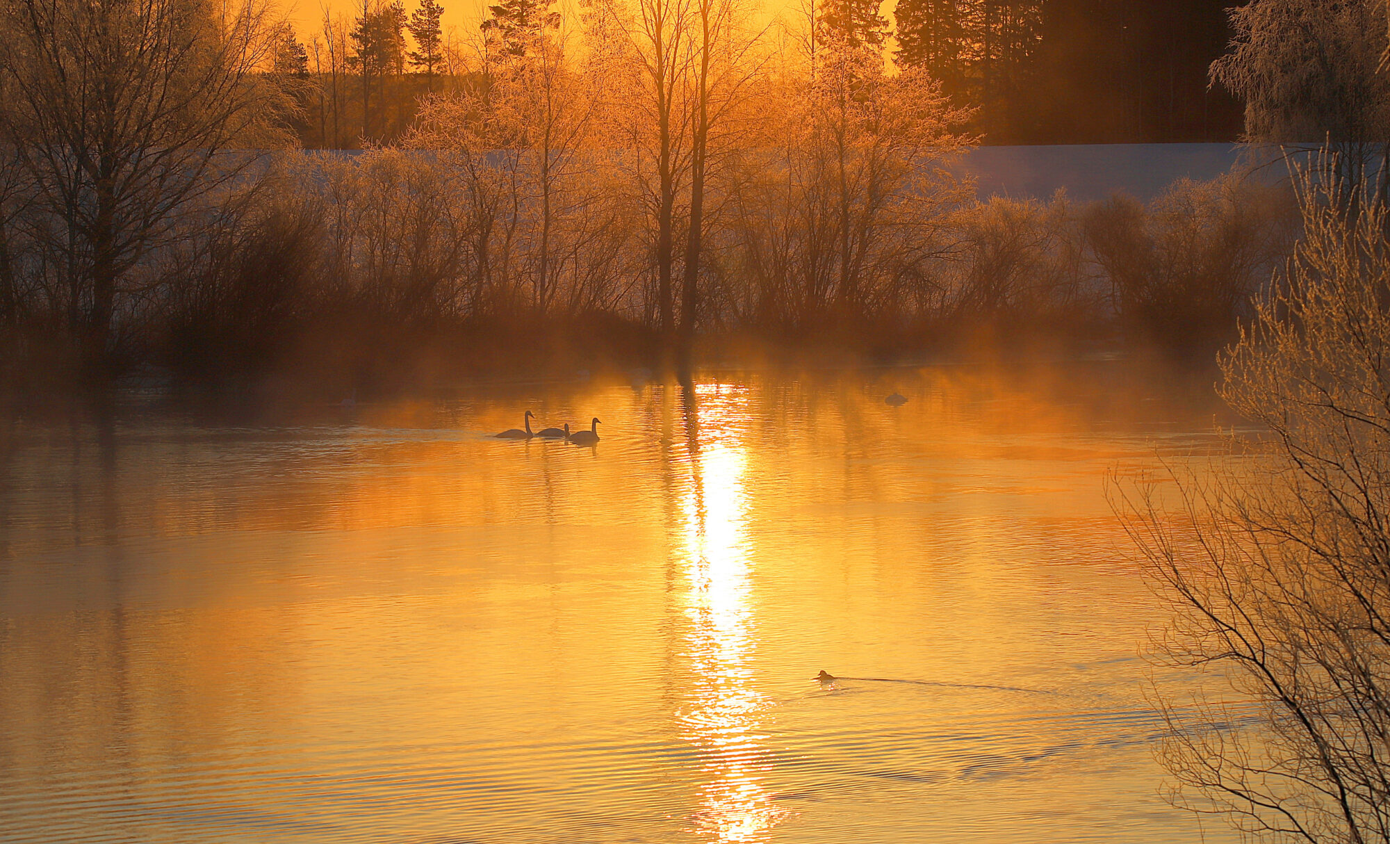 Valokuvaaja: sirpa jyske
