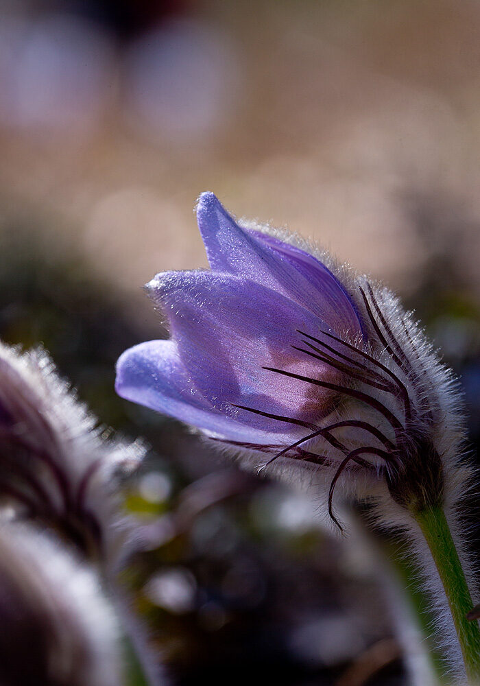 Valokuvaaja: Aarre Leskinen