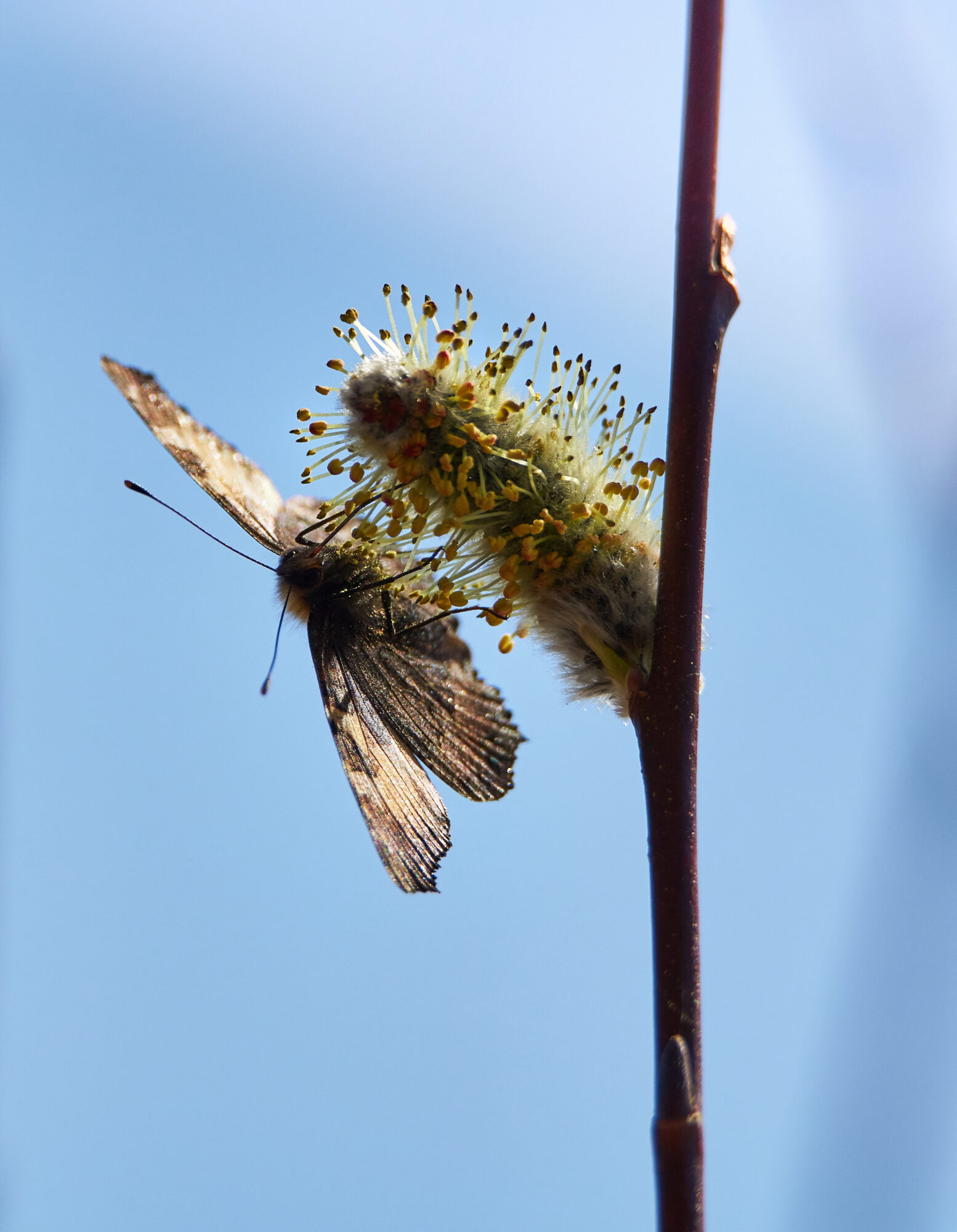 Valokuvaaja: Tarja Kouvo