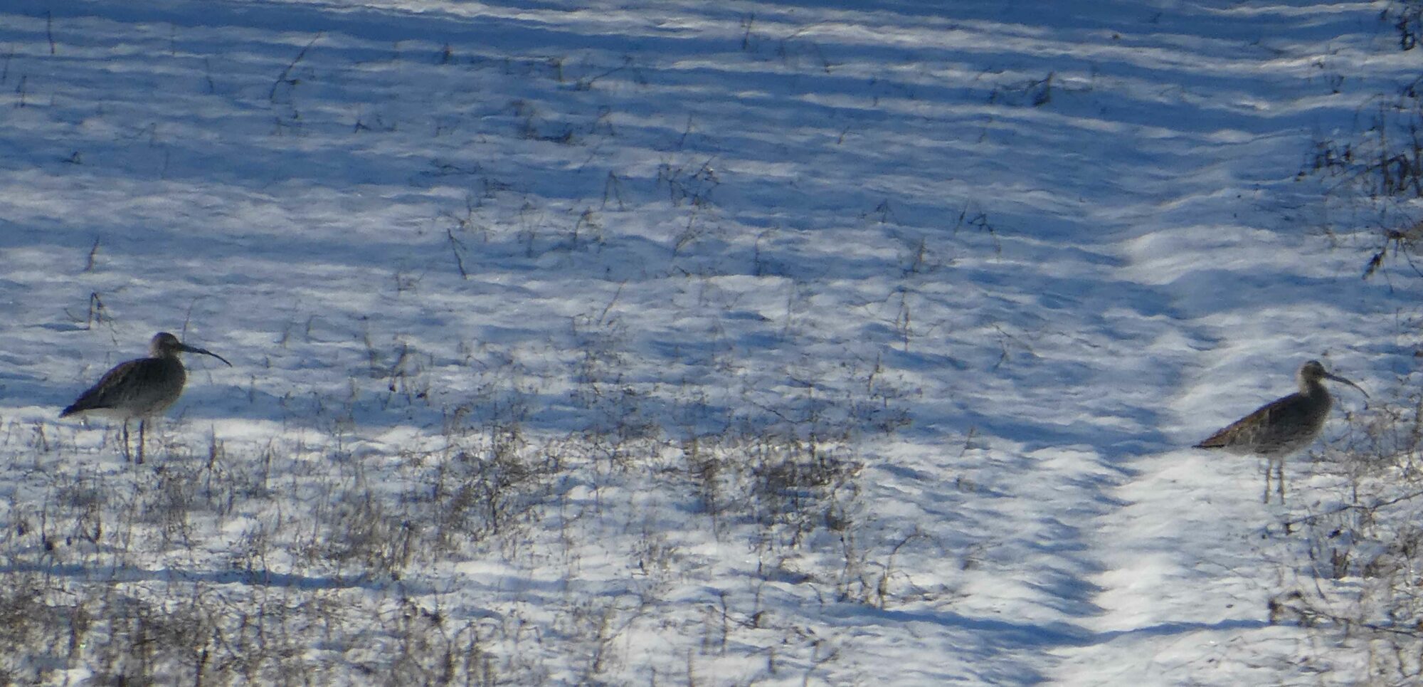 Valokuvaaja: Anja Mustamaa Valokuvaaja: Anja Mustamaa