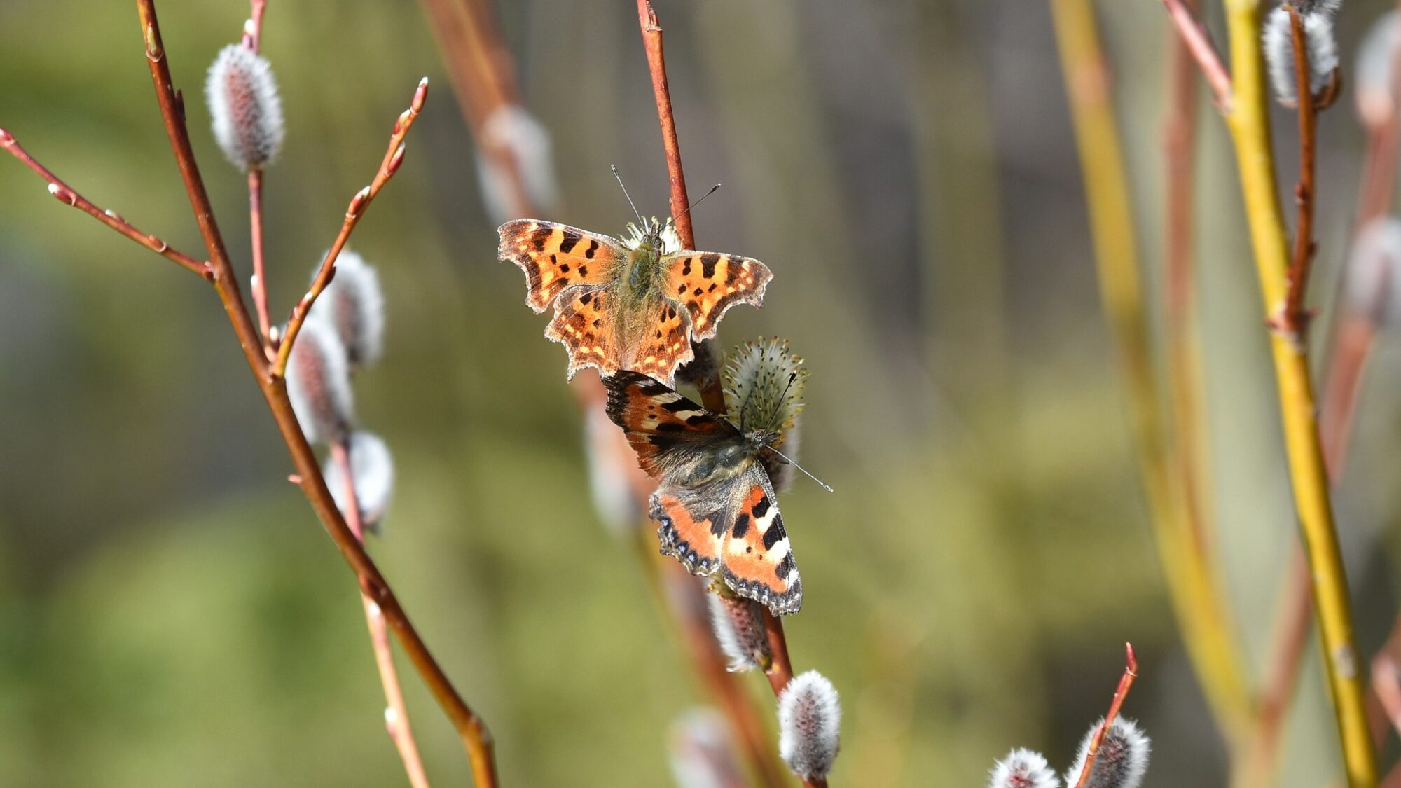 Valokuvaaja: Antti Kaskinen