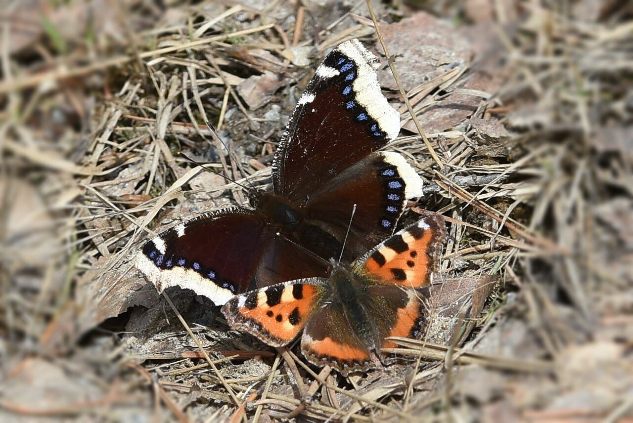 Valokuvaaja: Antti Kaskinen