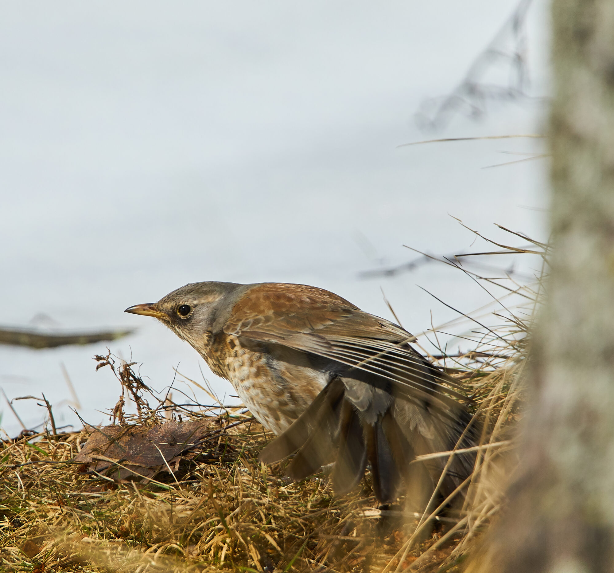 Valokuvaaja: Tarja Kouvo