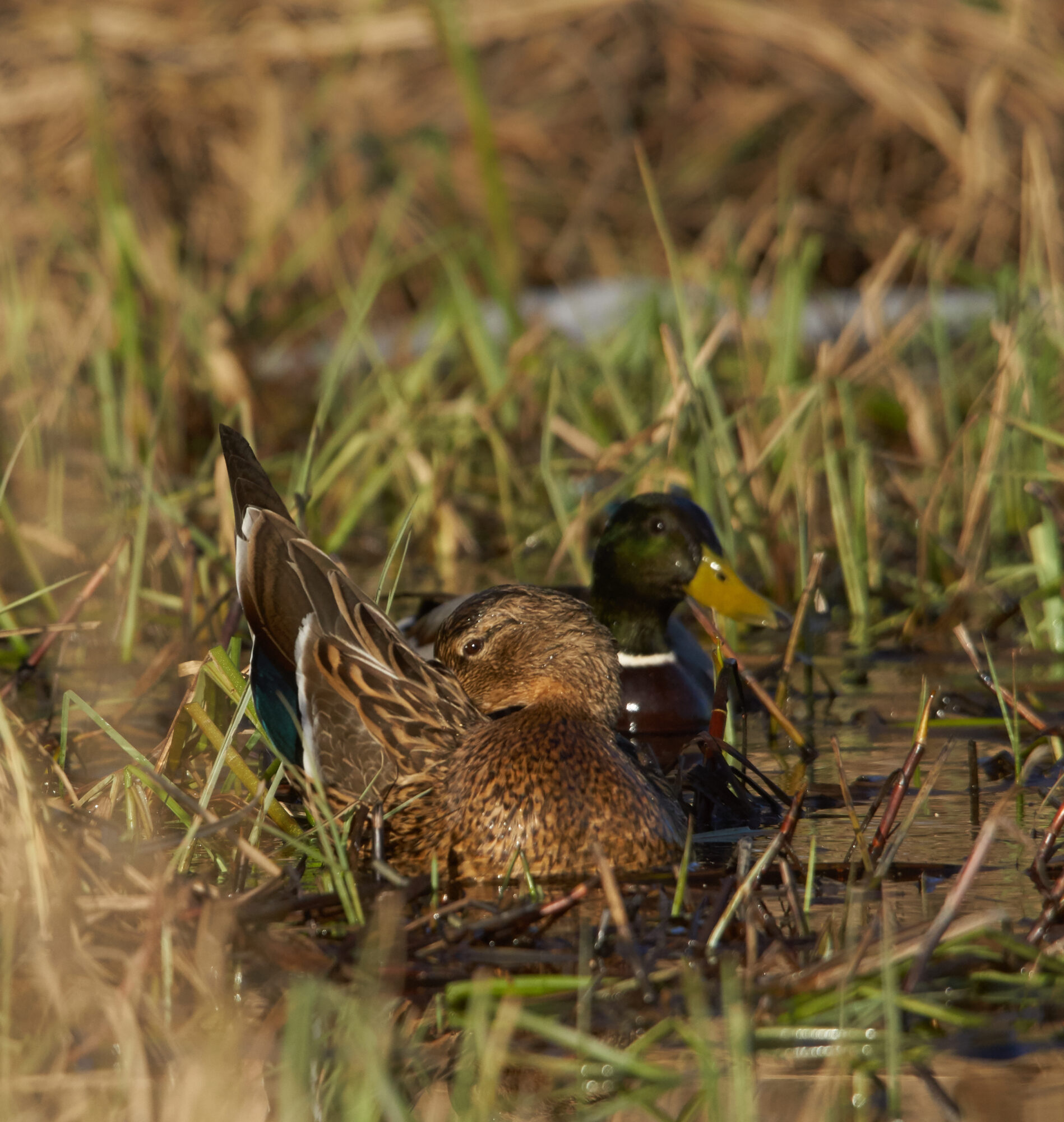 Valokuvaaja: Tarja Kouvo
