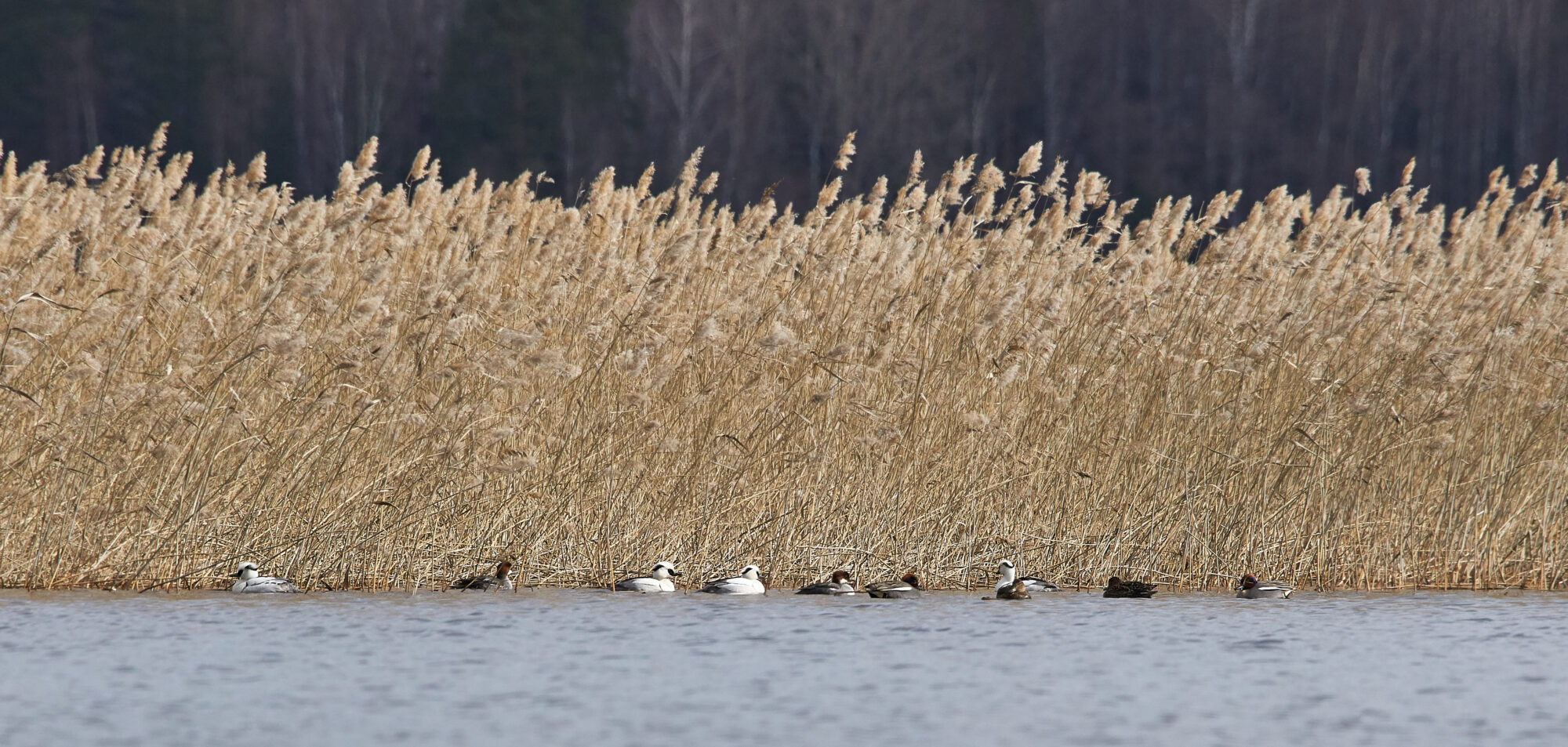Valokuvaaja: Tarja Kouvo