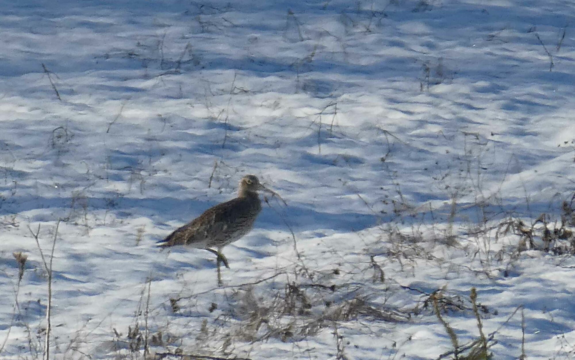 Valokuvaaja: Anja Mustamaa