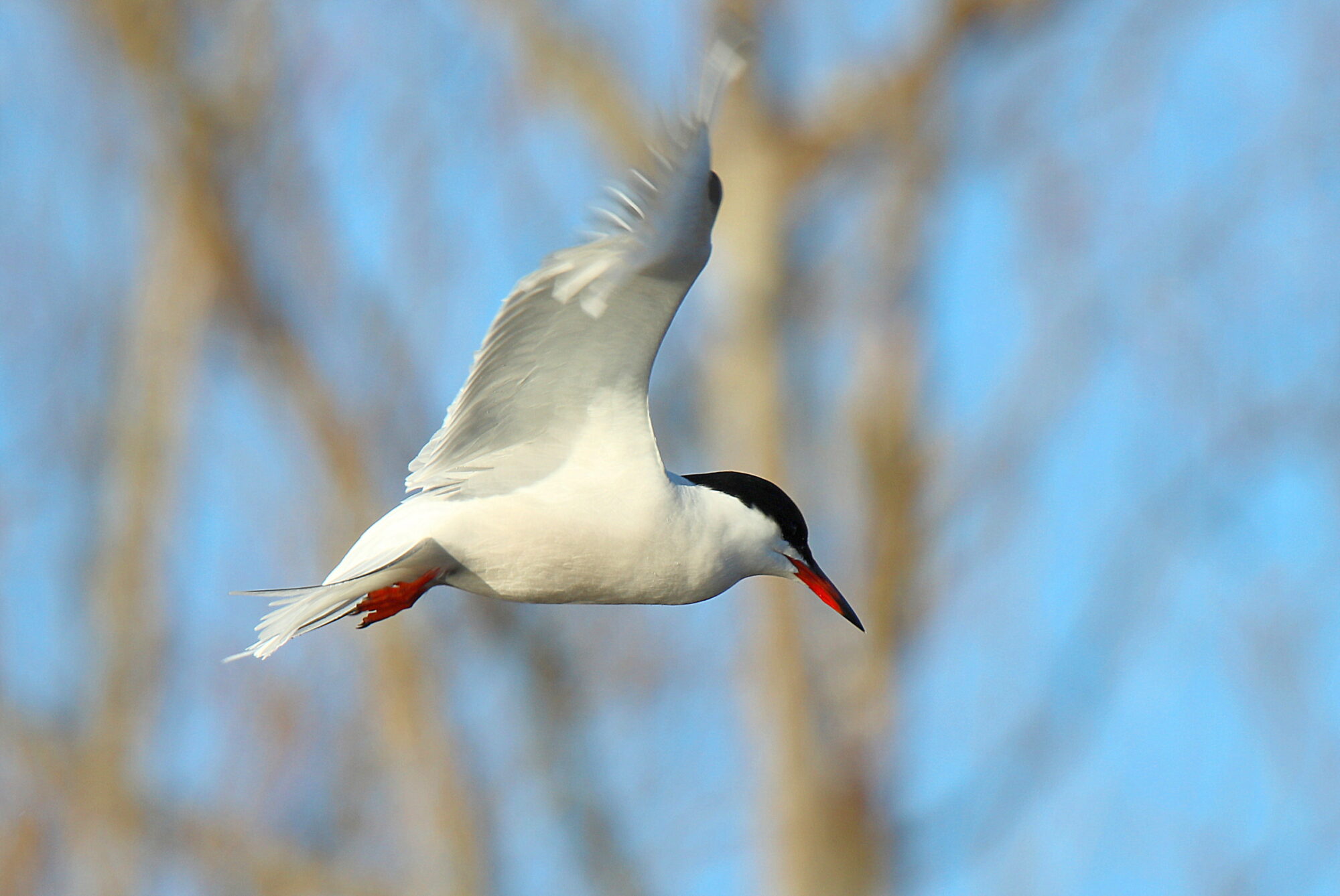 Valokuvaaja: sirpa jyske